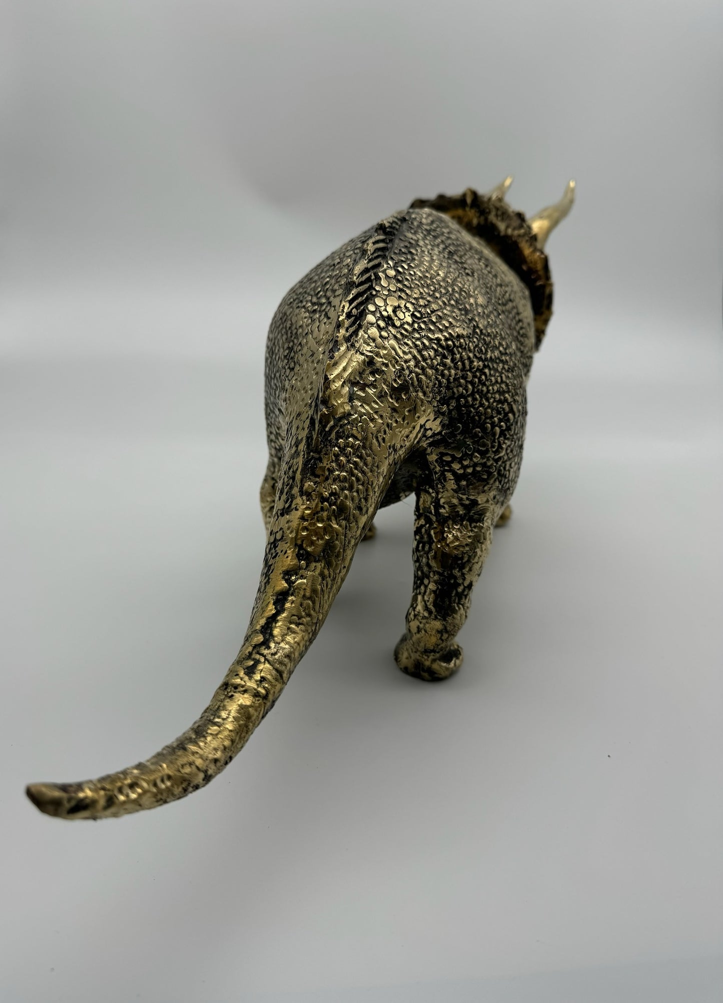 Triceratops horridus 56cm