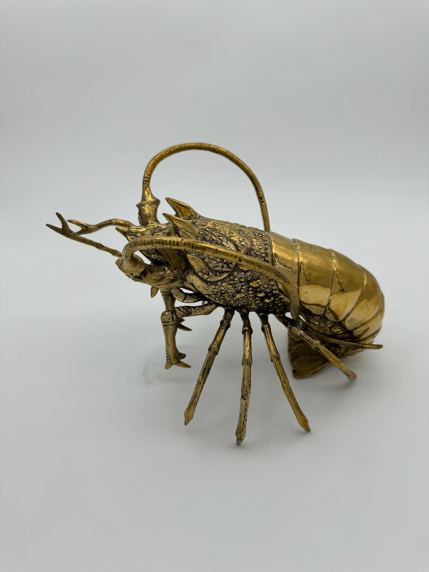 Western Rock Lobster 32cm