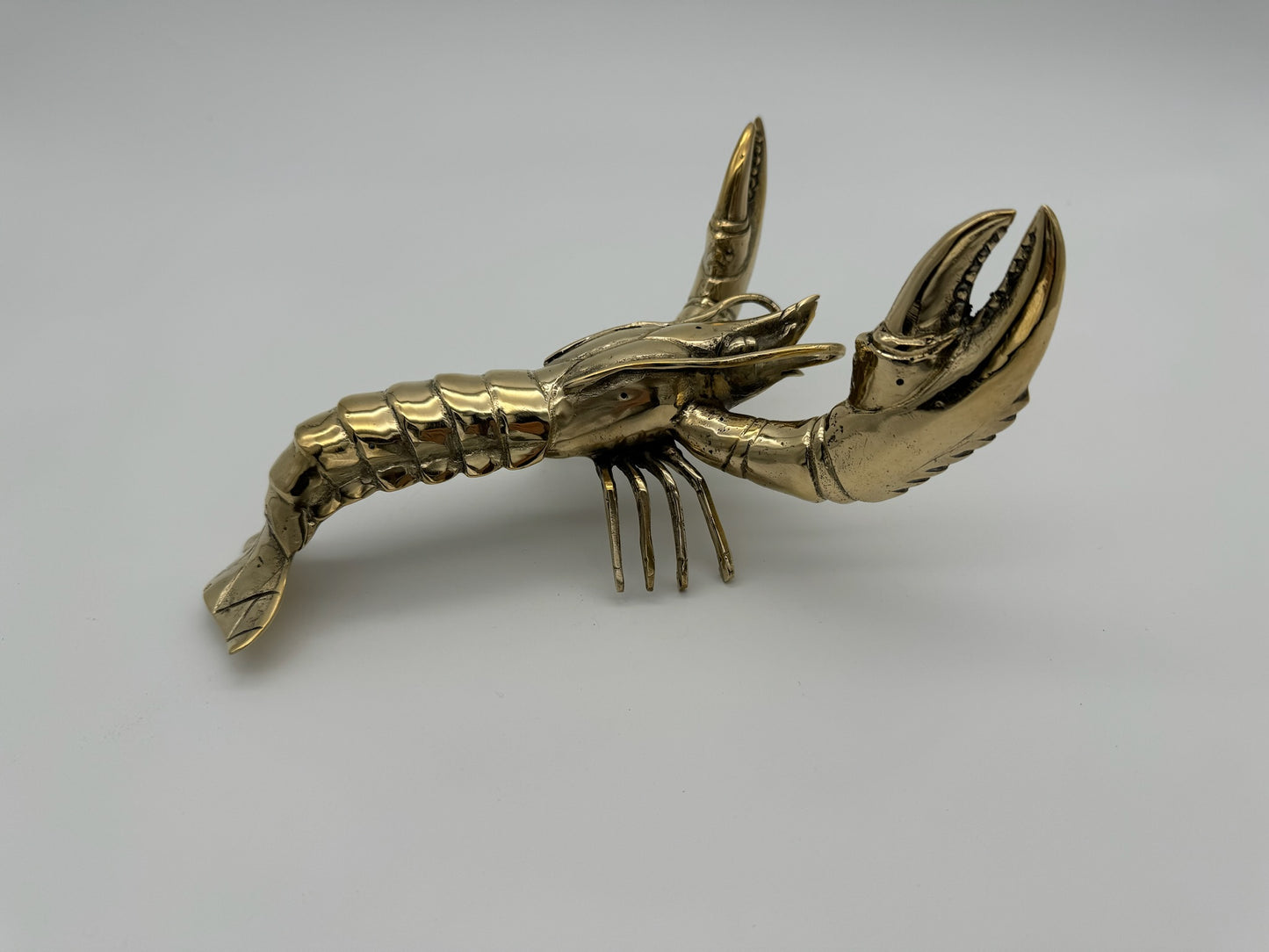 Big Claw Crayfish, Maine Lobster, 17cm