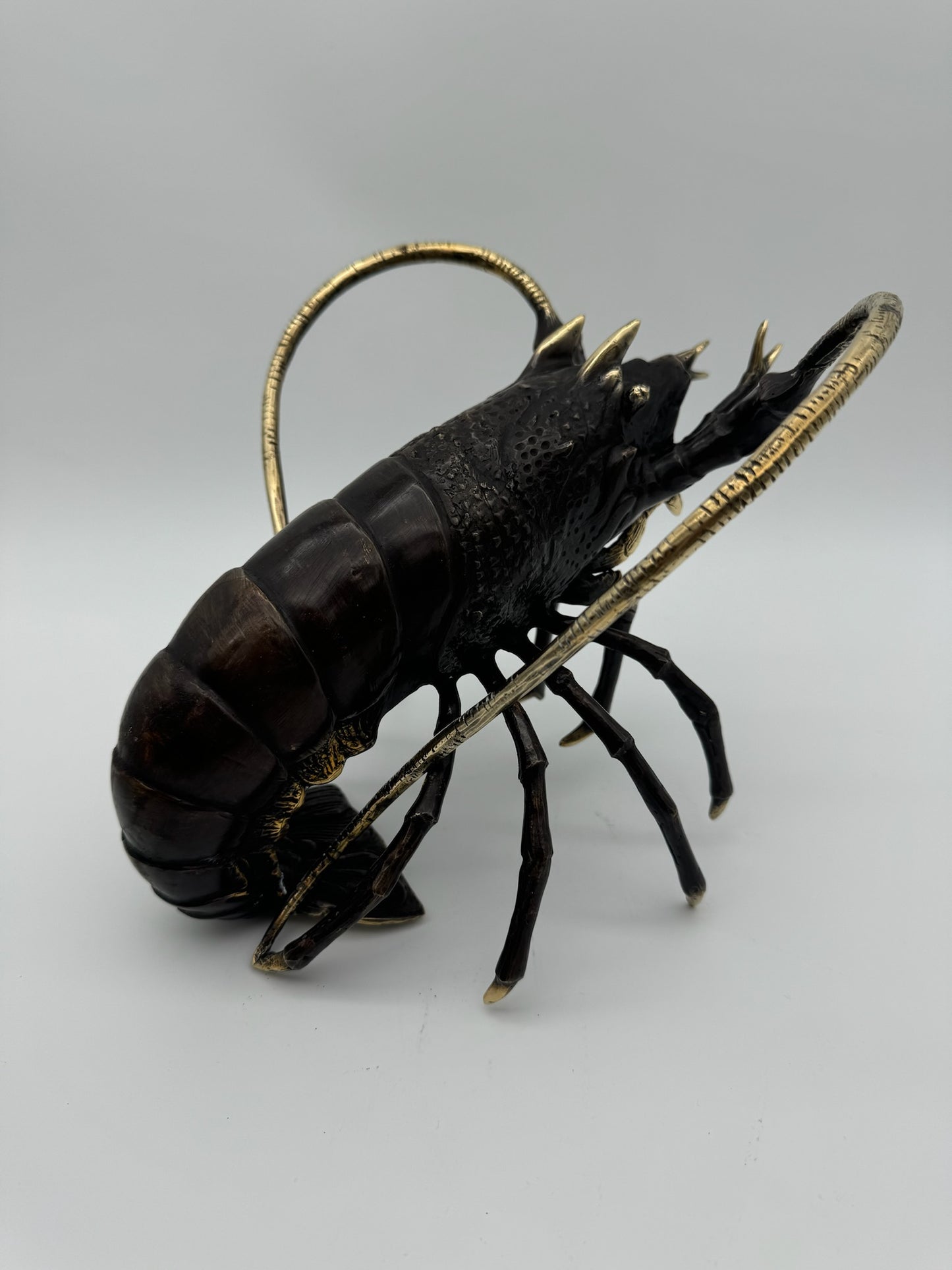 Western Rock Lobster 32cm