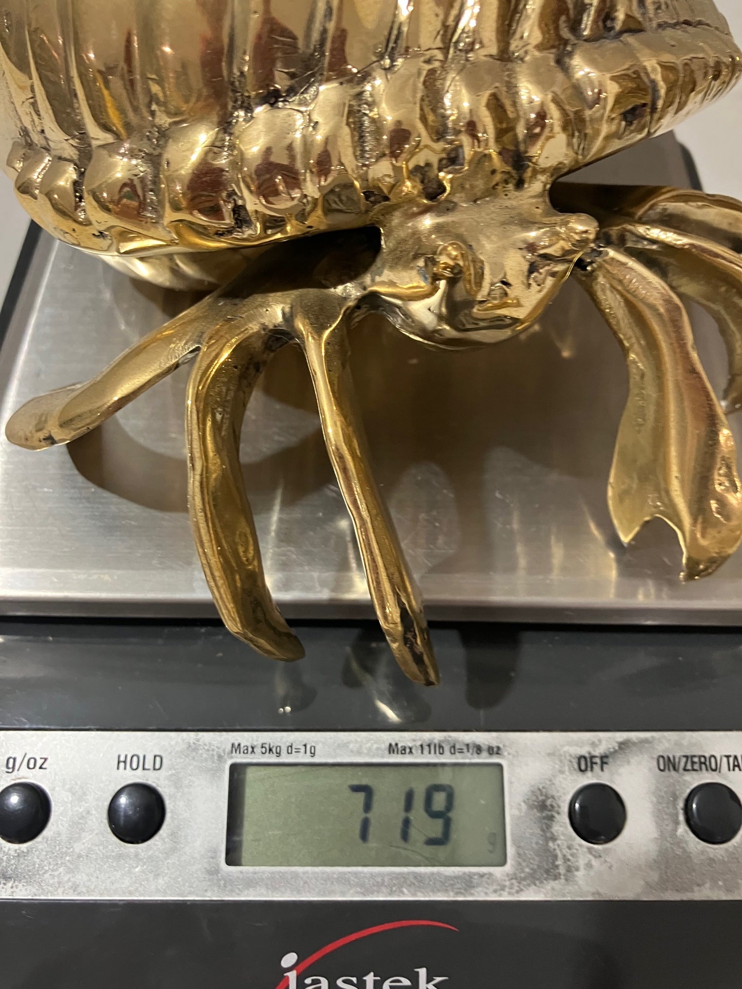 Hermit Crab 16cm