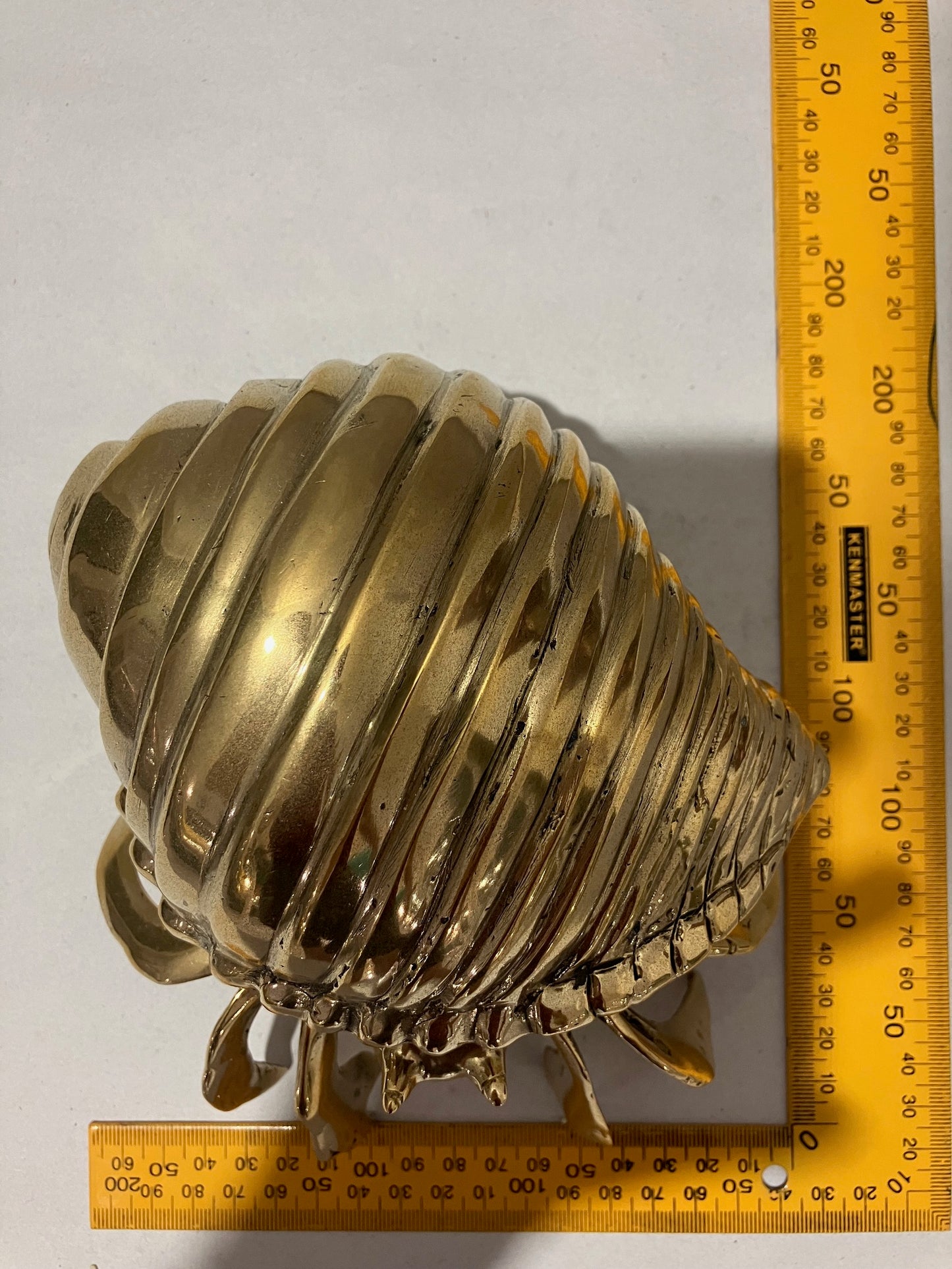 Hermit Crab 16cm