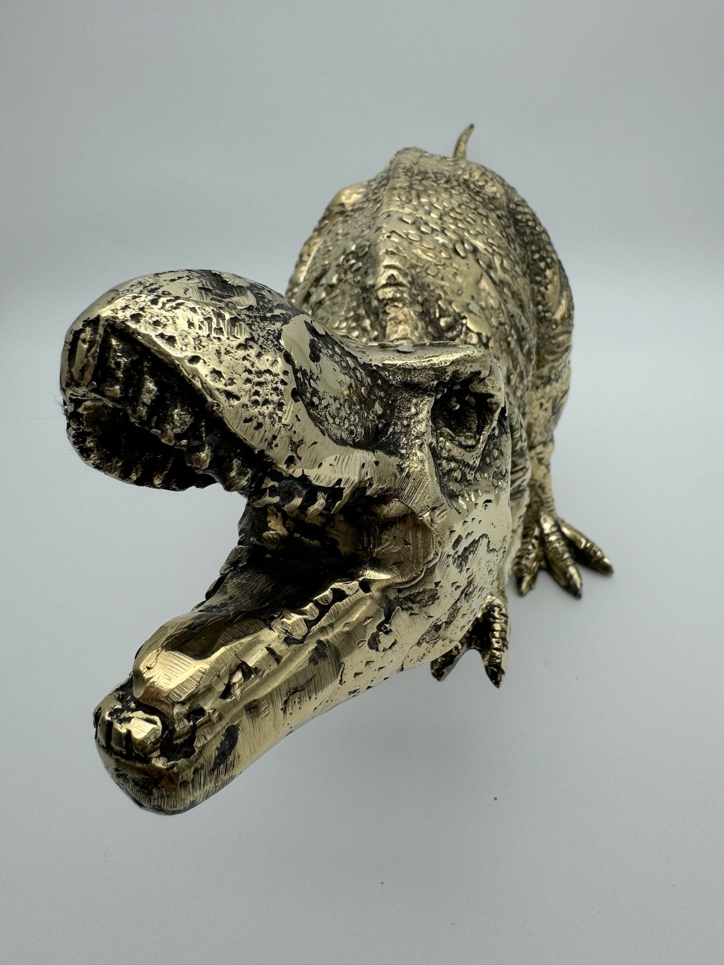 Tyrannosaurus Rex 52cm