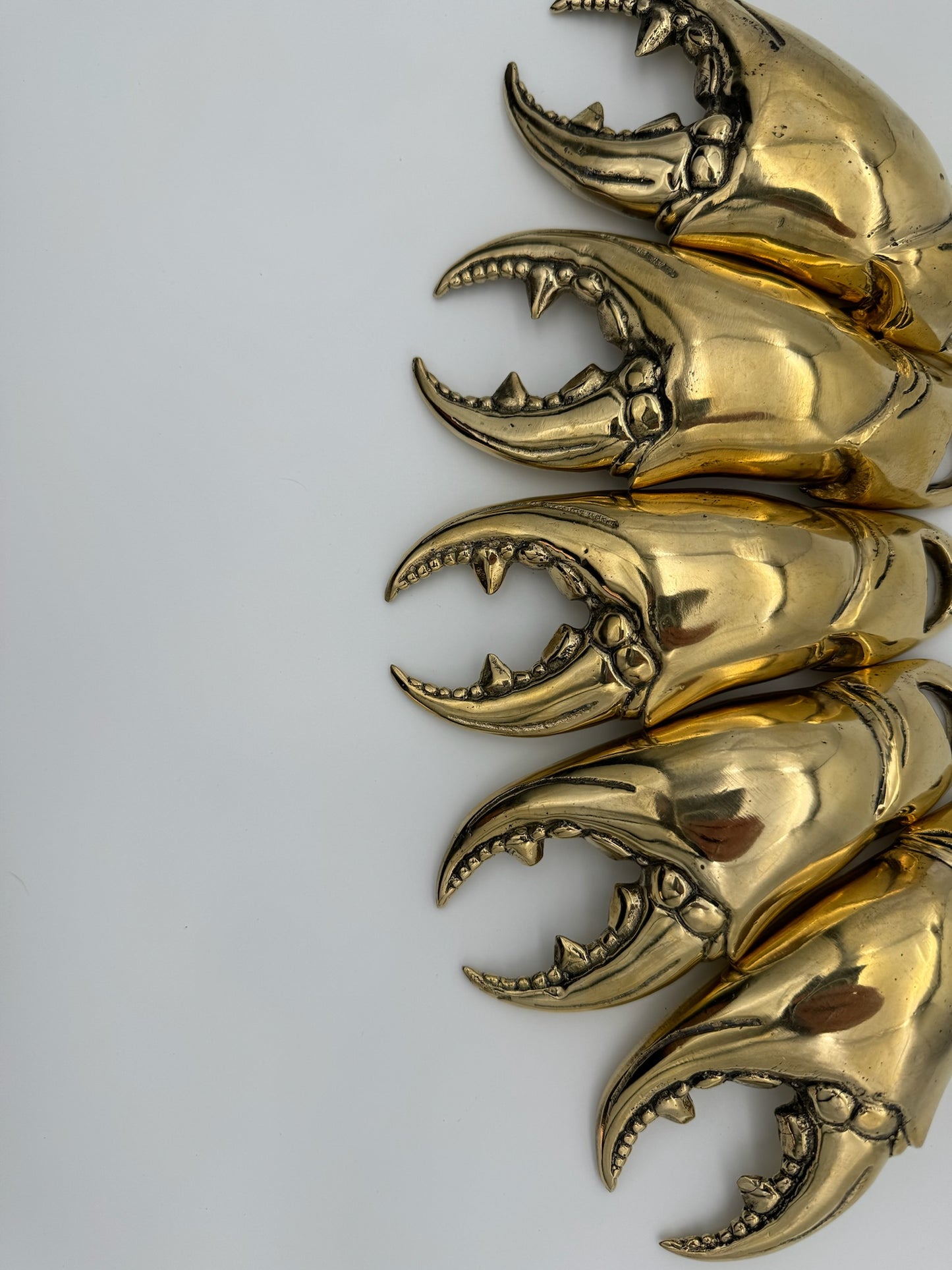 Crab Claw Bottle Opener