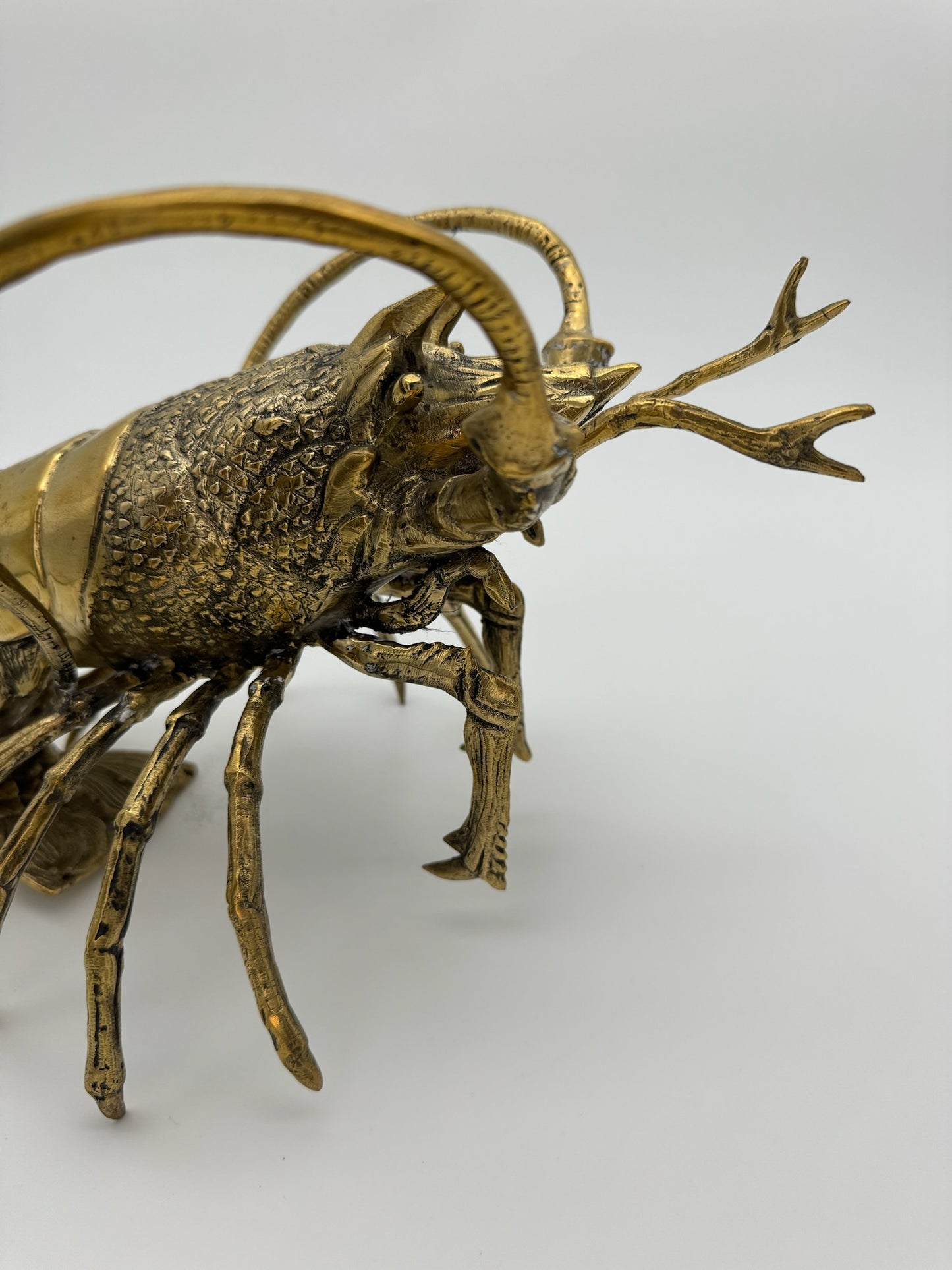 Western Rock Lobster 32cm