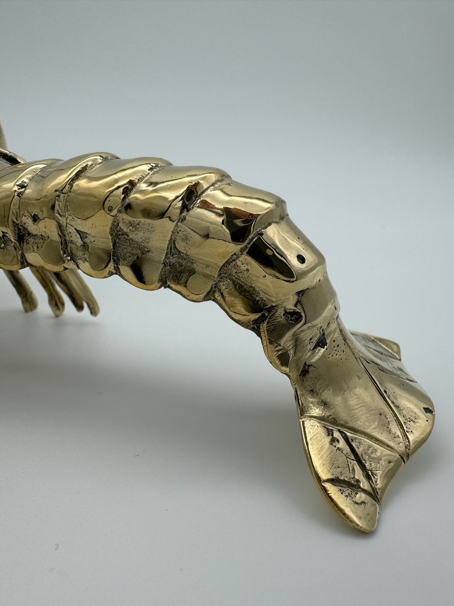 Big Claw Crayfish, Maine Lobster, 17cm