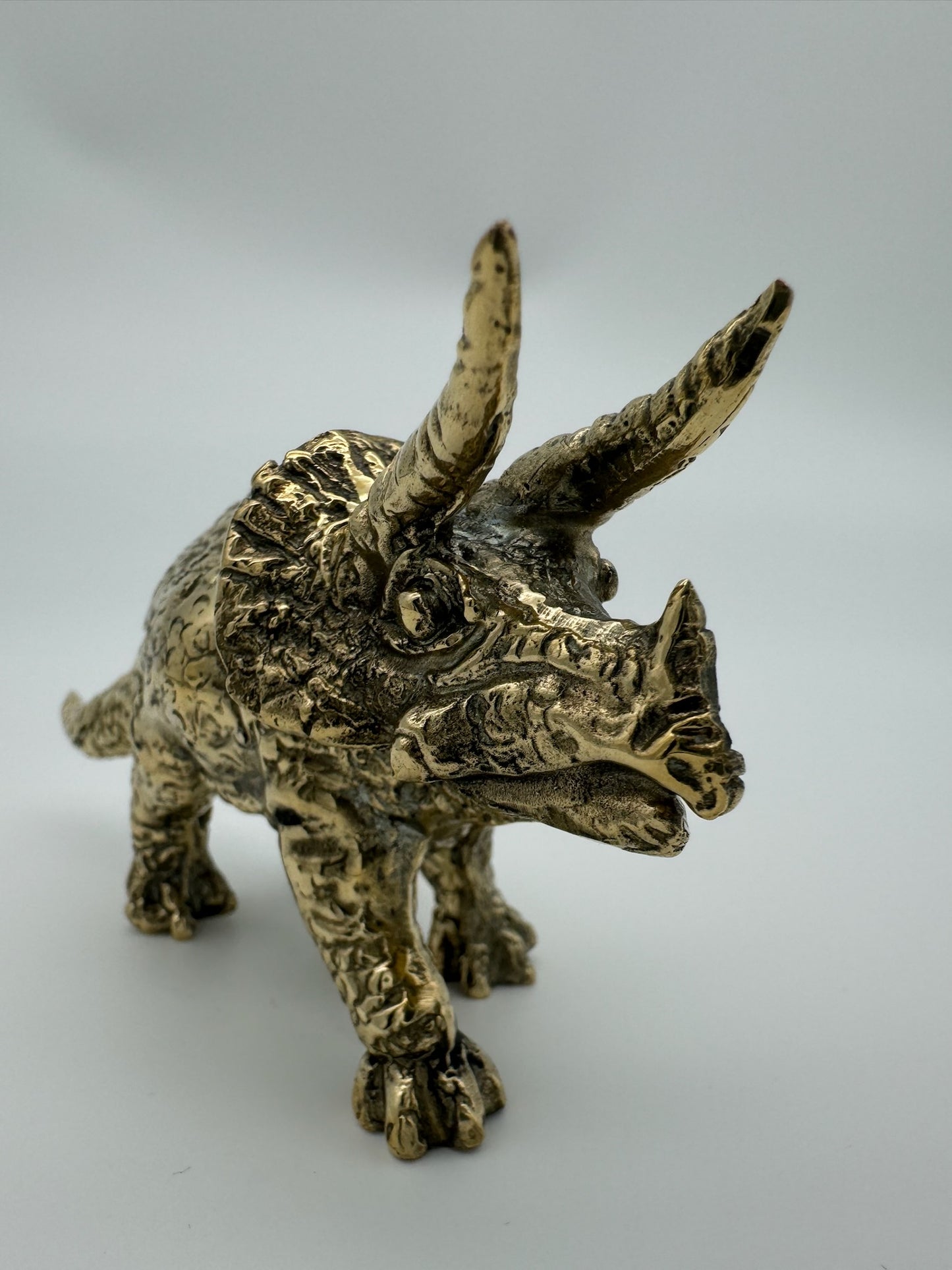 Triceratops horridus 15cm