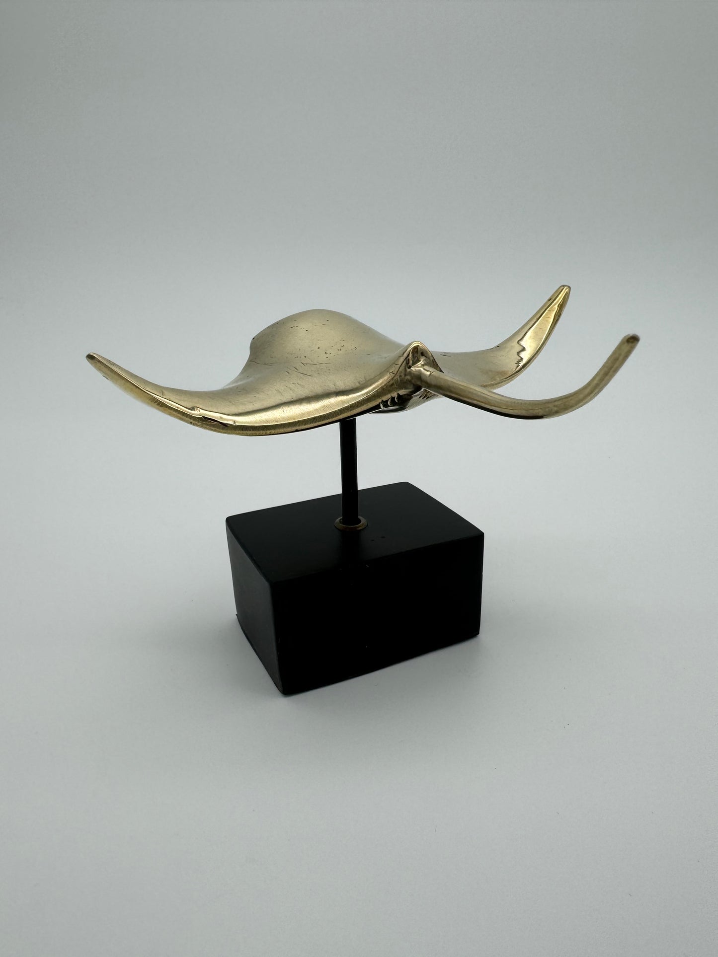 Manta Ray 15cm