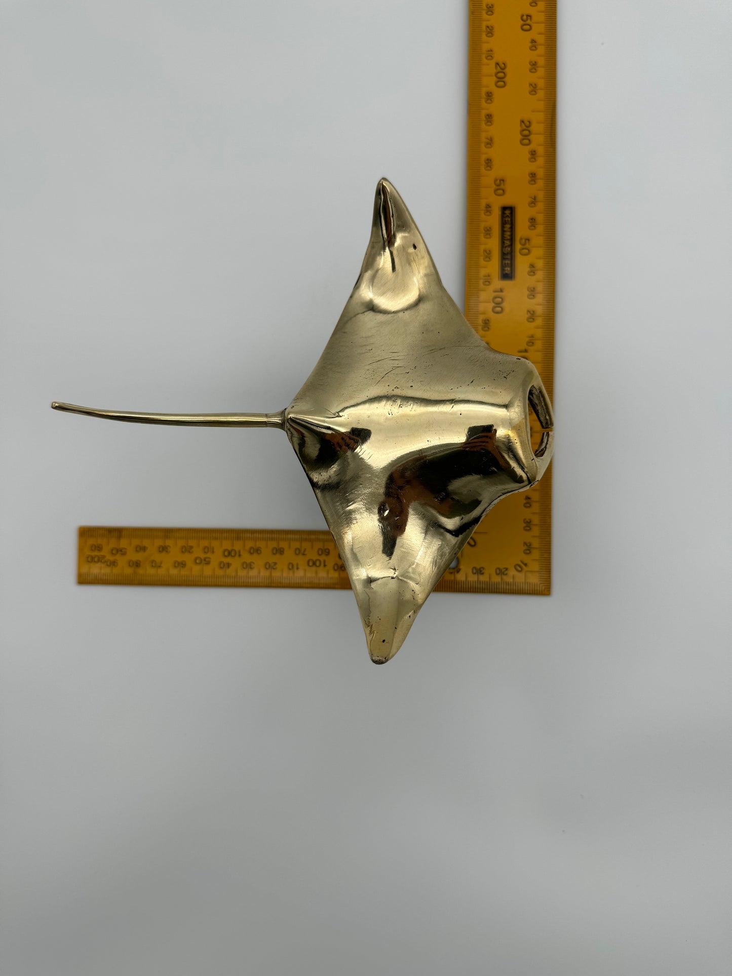 Manta Ray 15cm