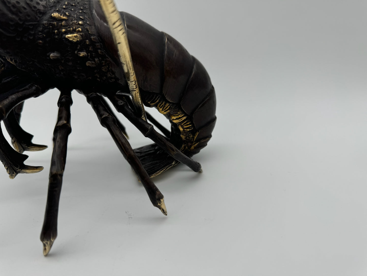 Western Rock Lobster 32cm
