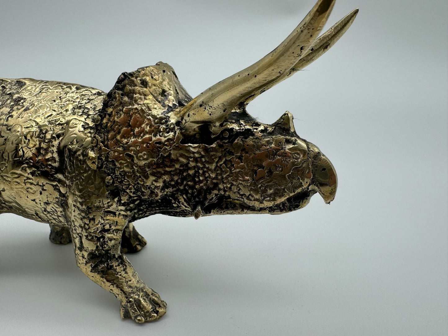 Triceratops horridus 26cm
