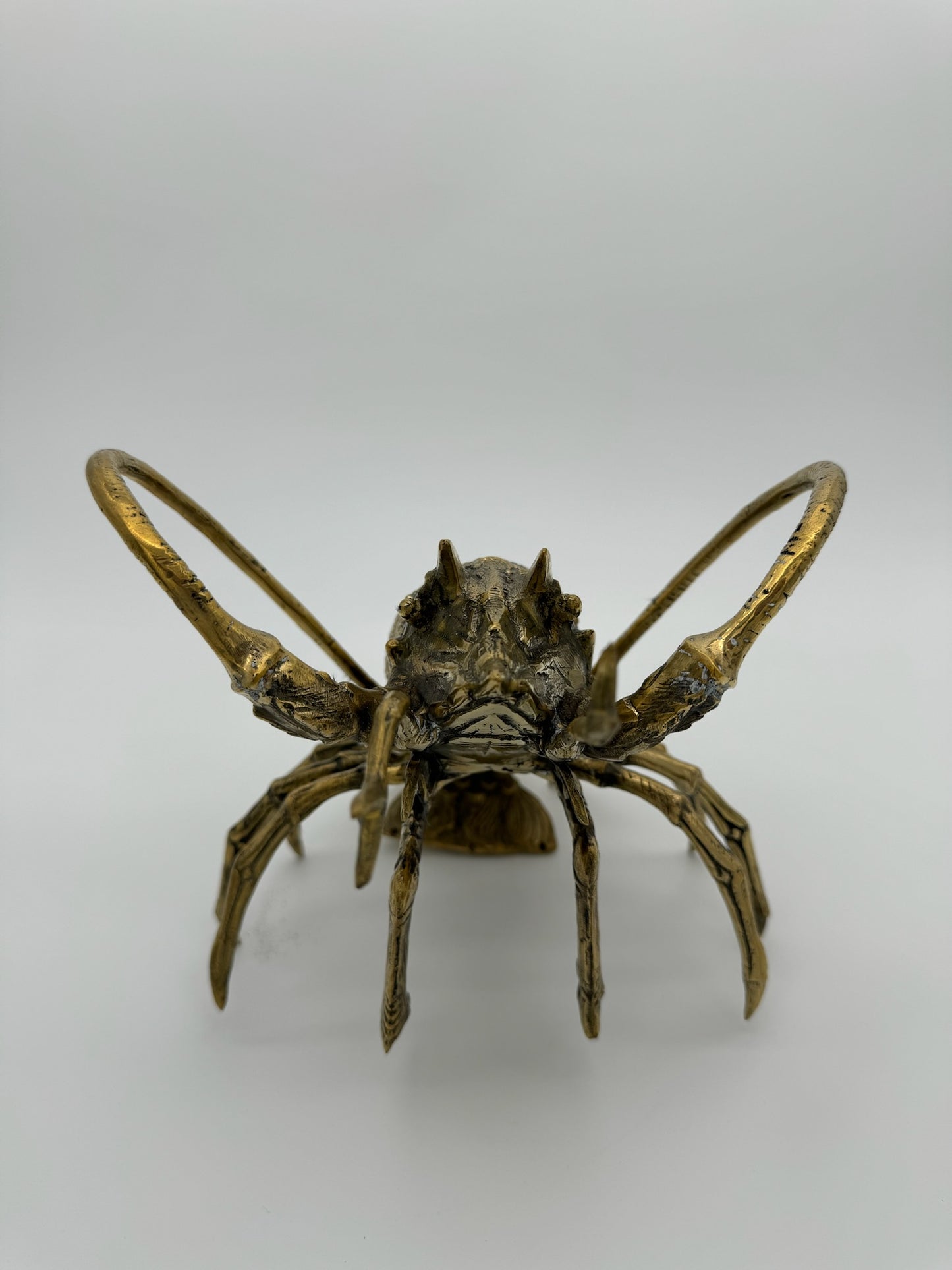 Western Rock Lobster 32cm