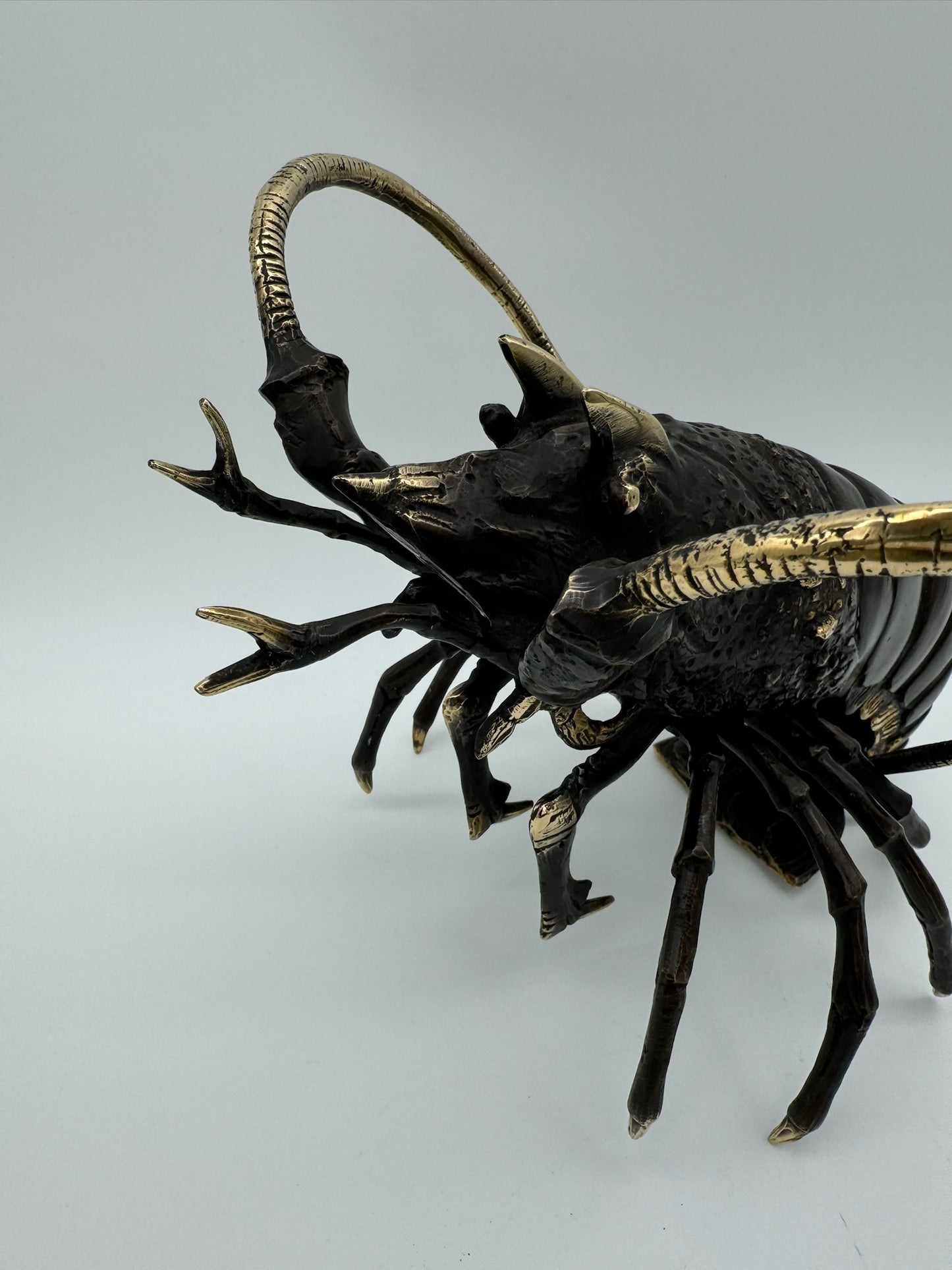 Western Rock Lobster 32cm
