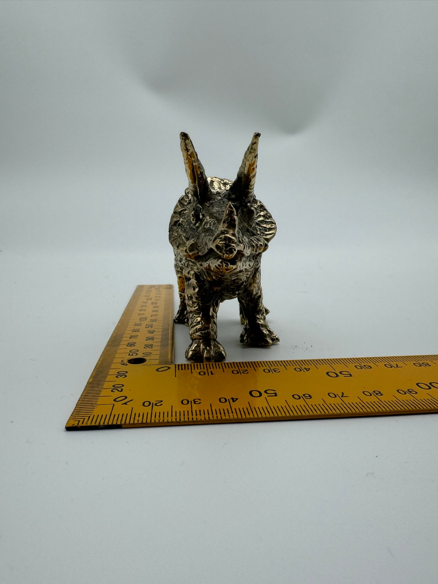 Triceratops horridus 15cm