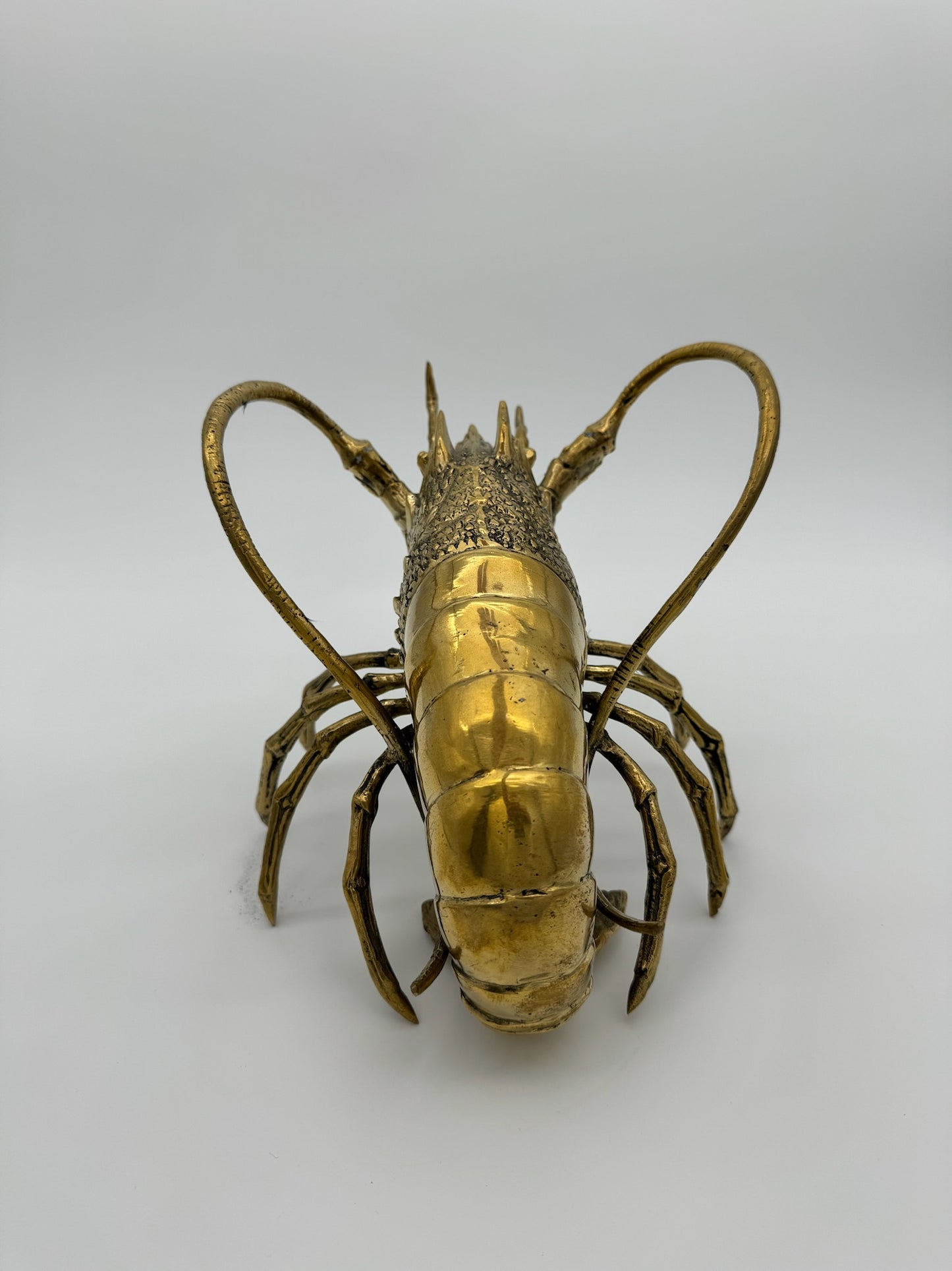 Western Rock Lobster 32cm