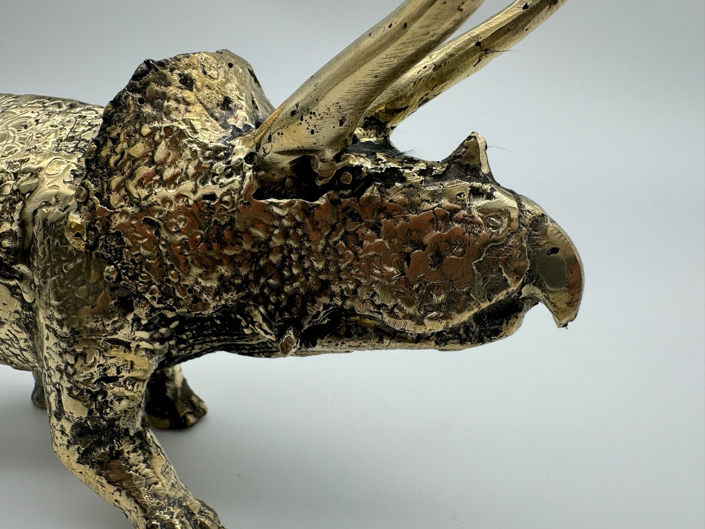Triceratops horridus 26cm