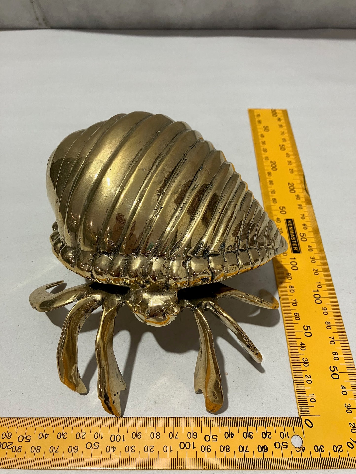 Hermit Crab 16cm