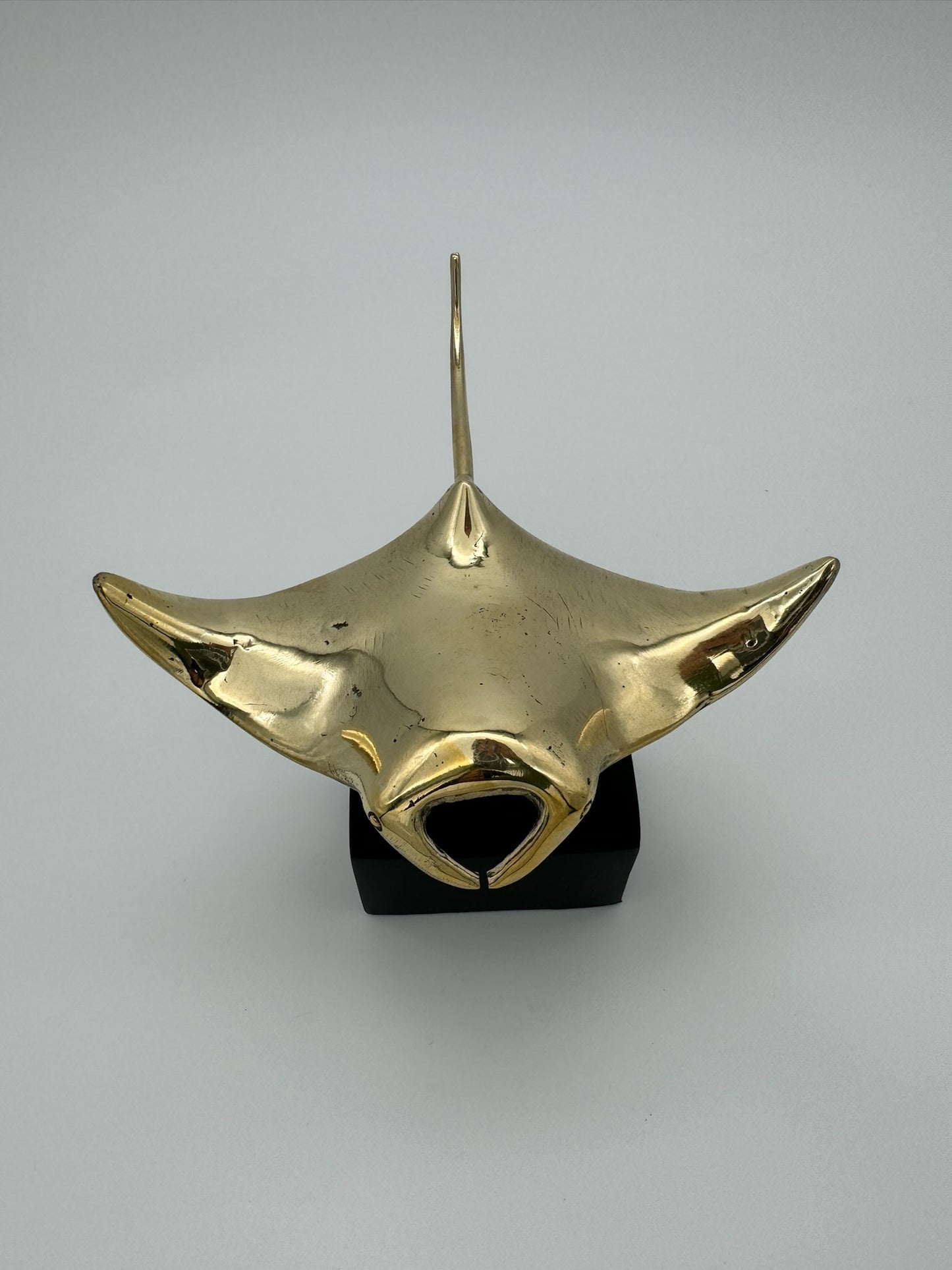 Manta Ray 11cm