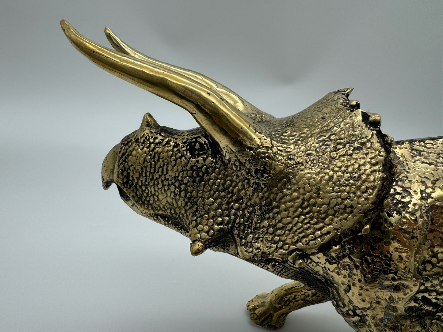 Triceratops horridus 56cm