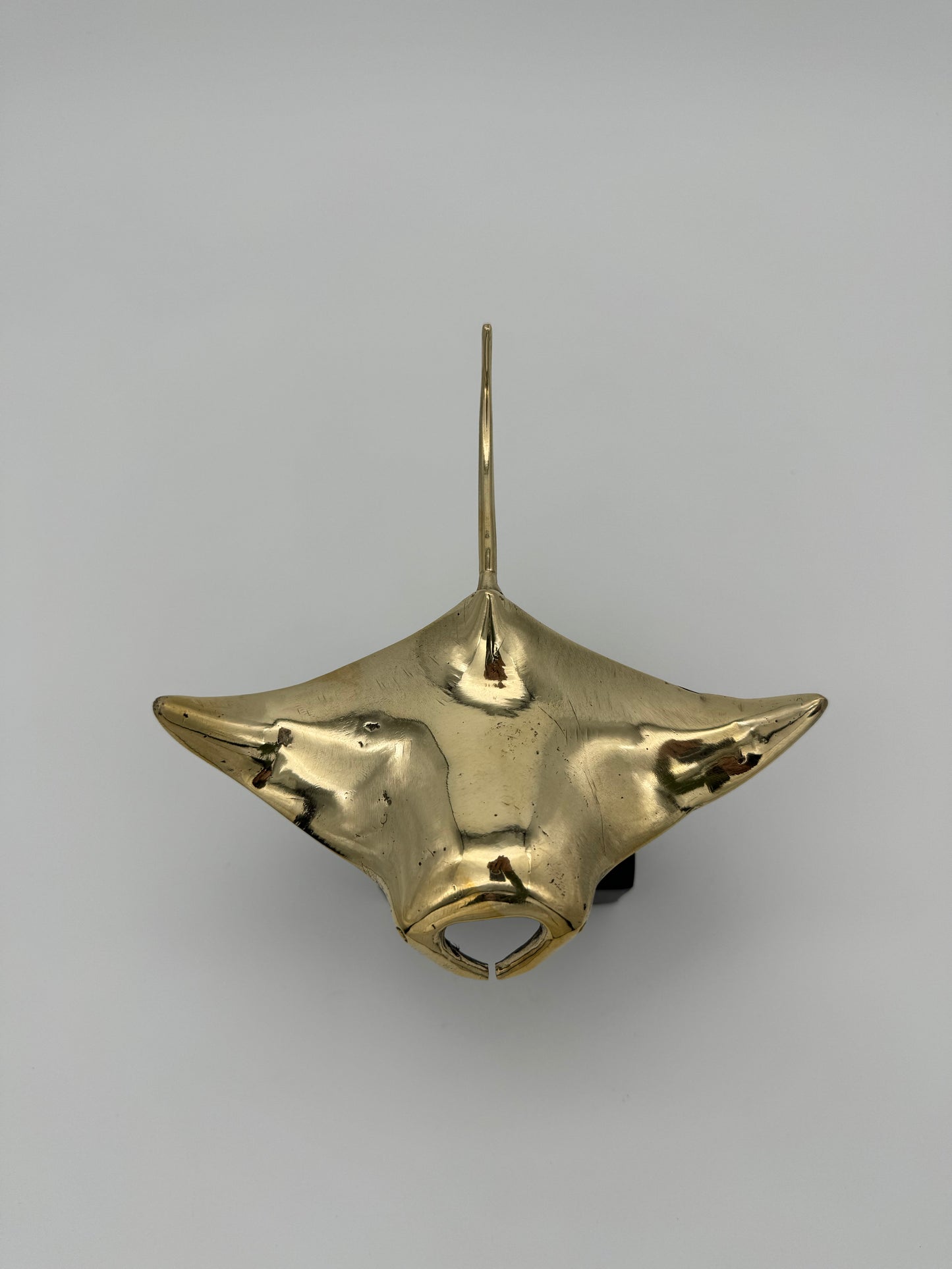 Manta Ray 15cm