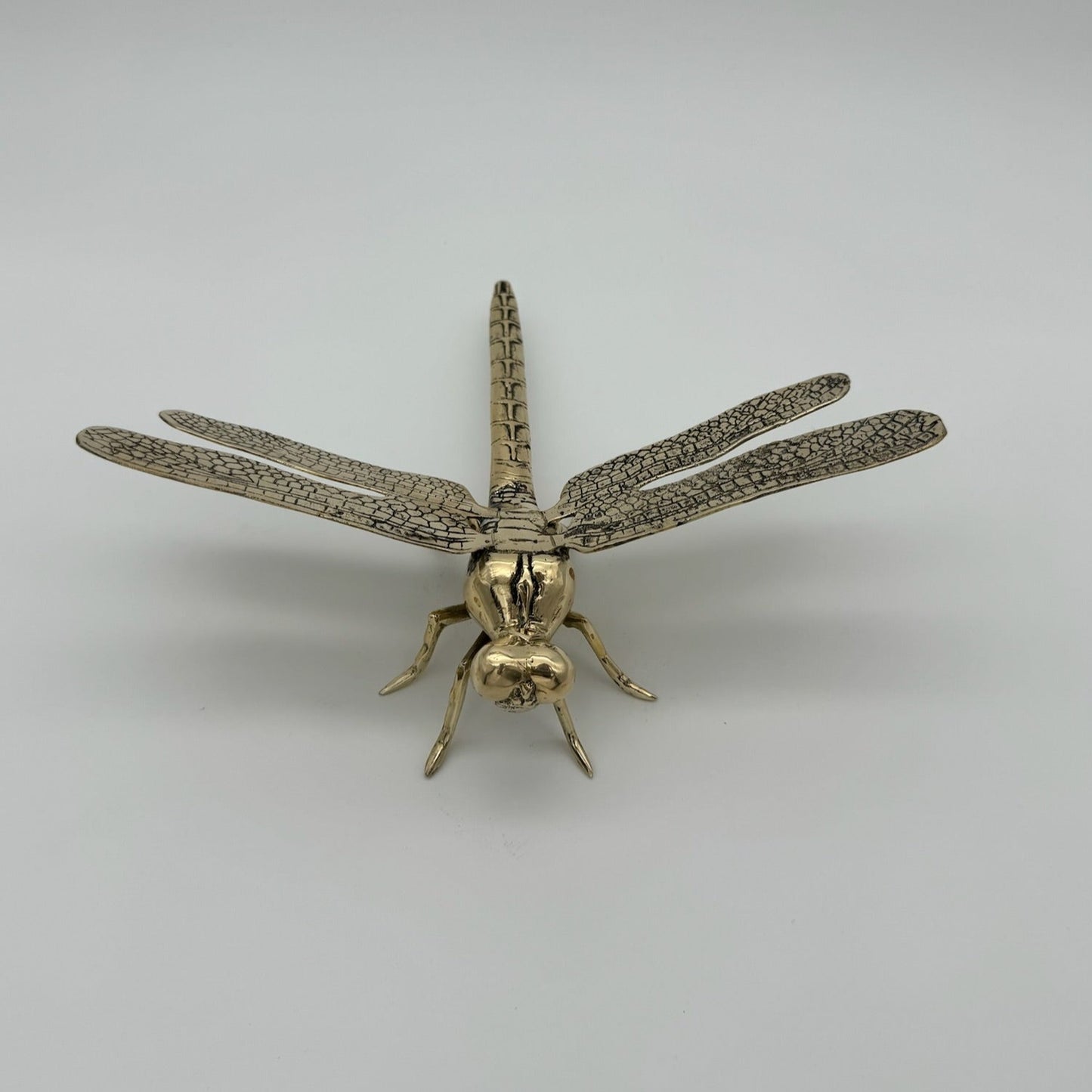 Dragonfly 31cm