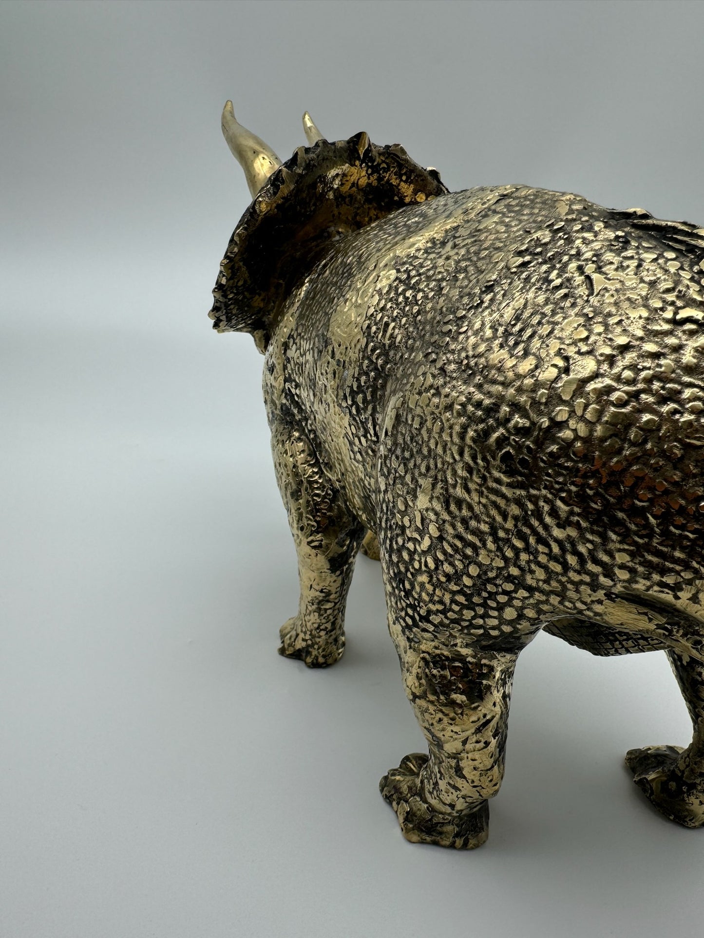 Triceratops horridus 56cm