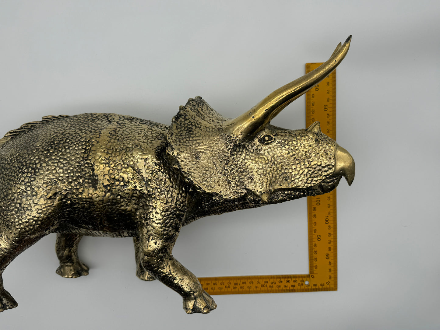 Triceratops horridus 56cm