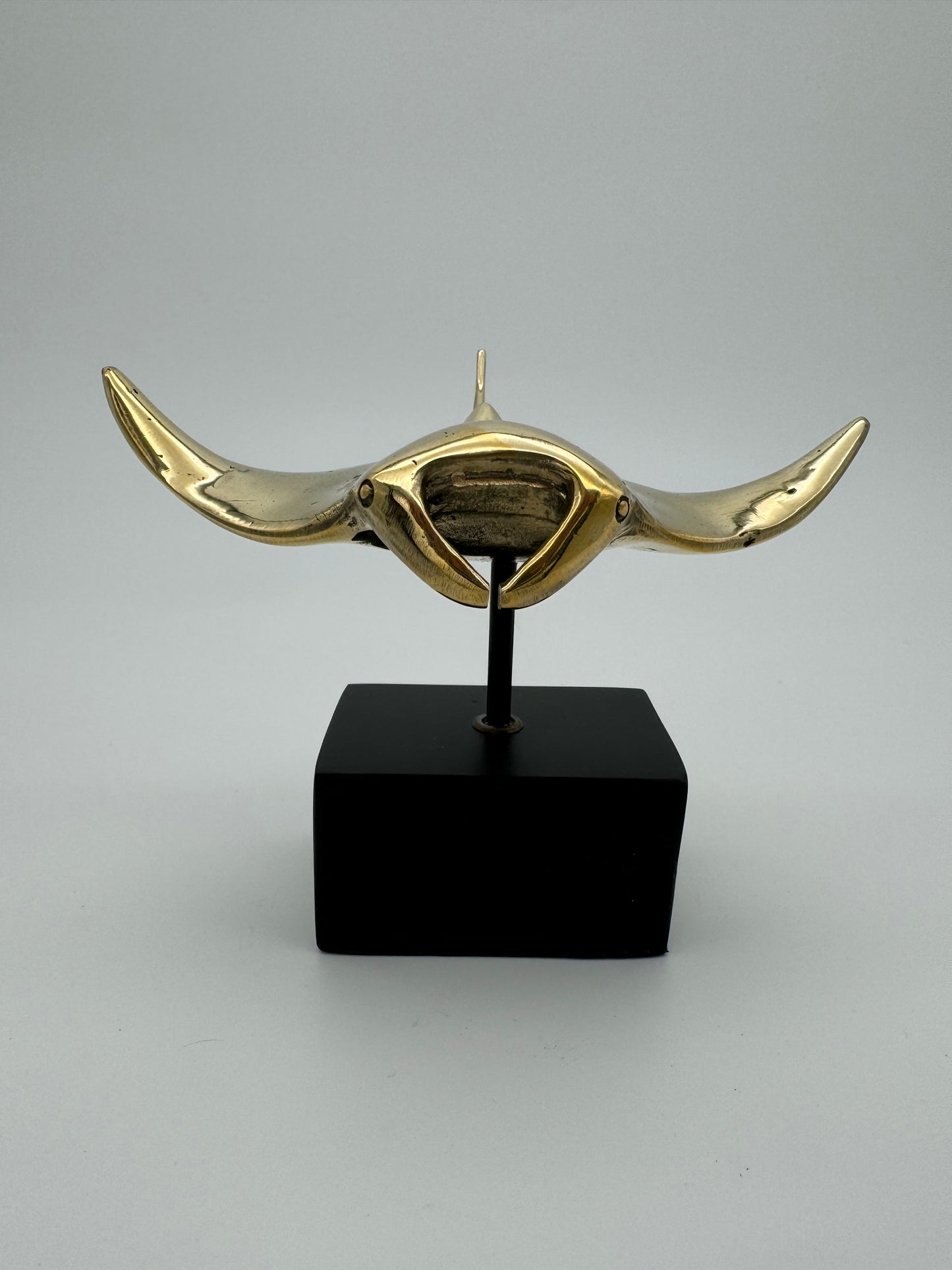 Manta Ray 15cm
