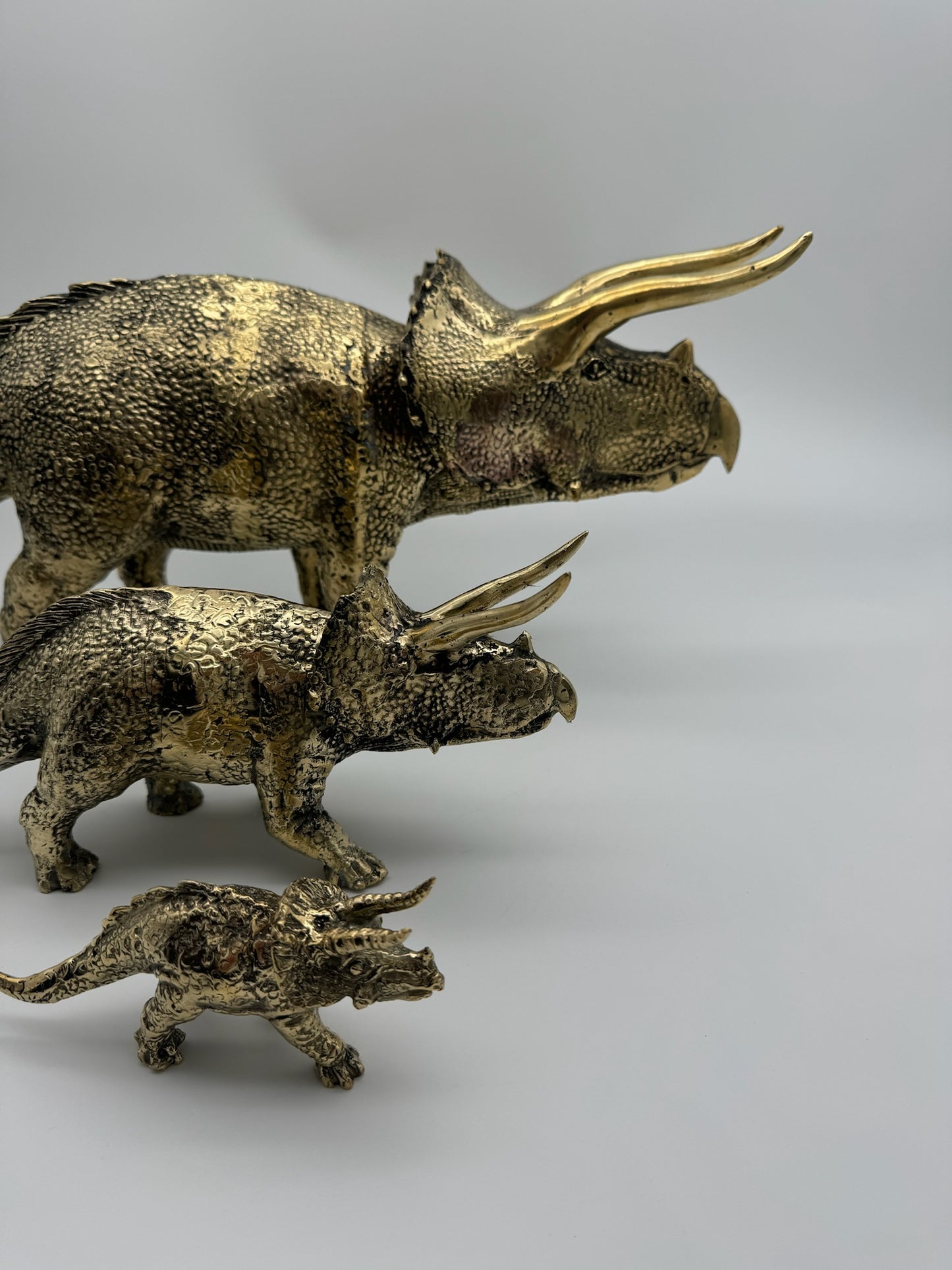 Triceratops horridus 56cm