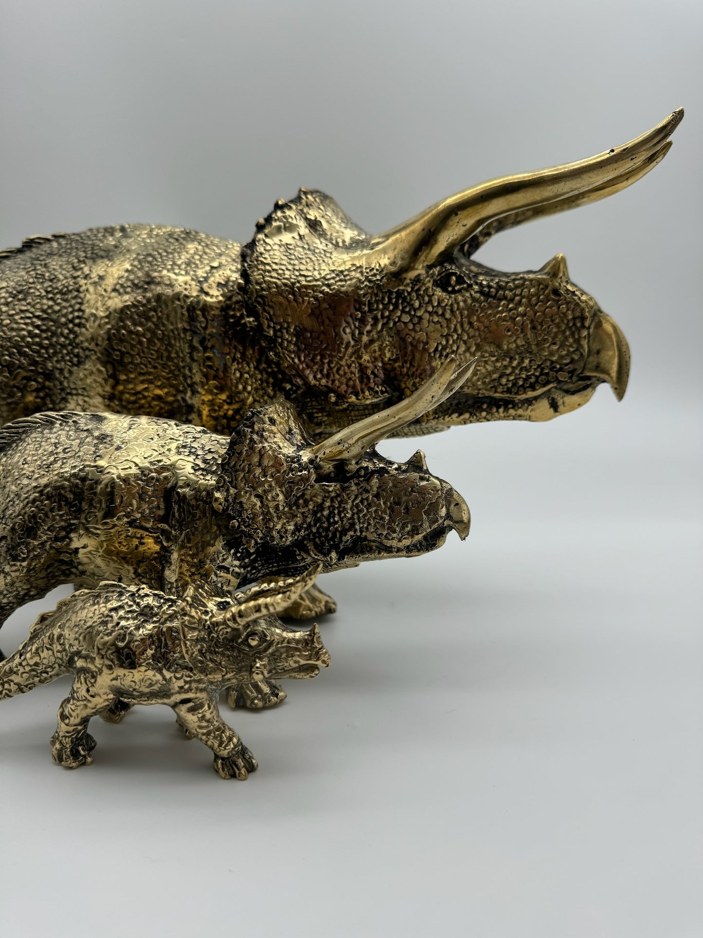 Triceratops horridus 56cm