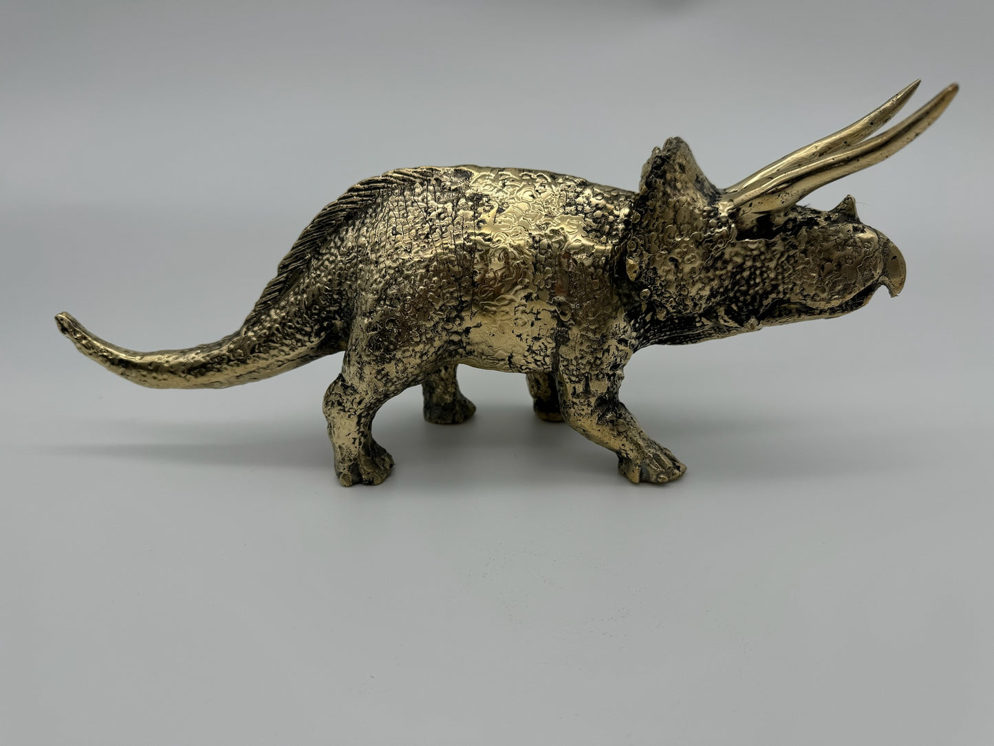 Triceratops horridus 26cm