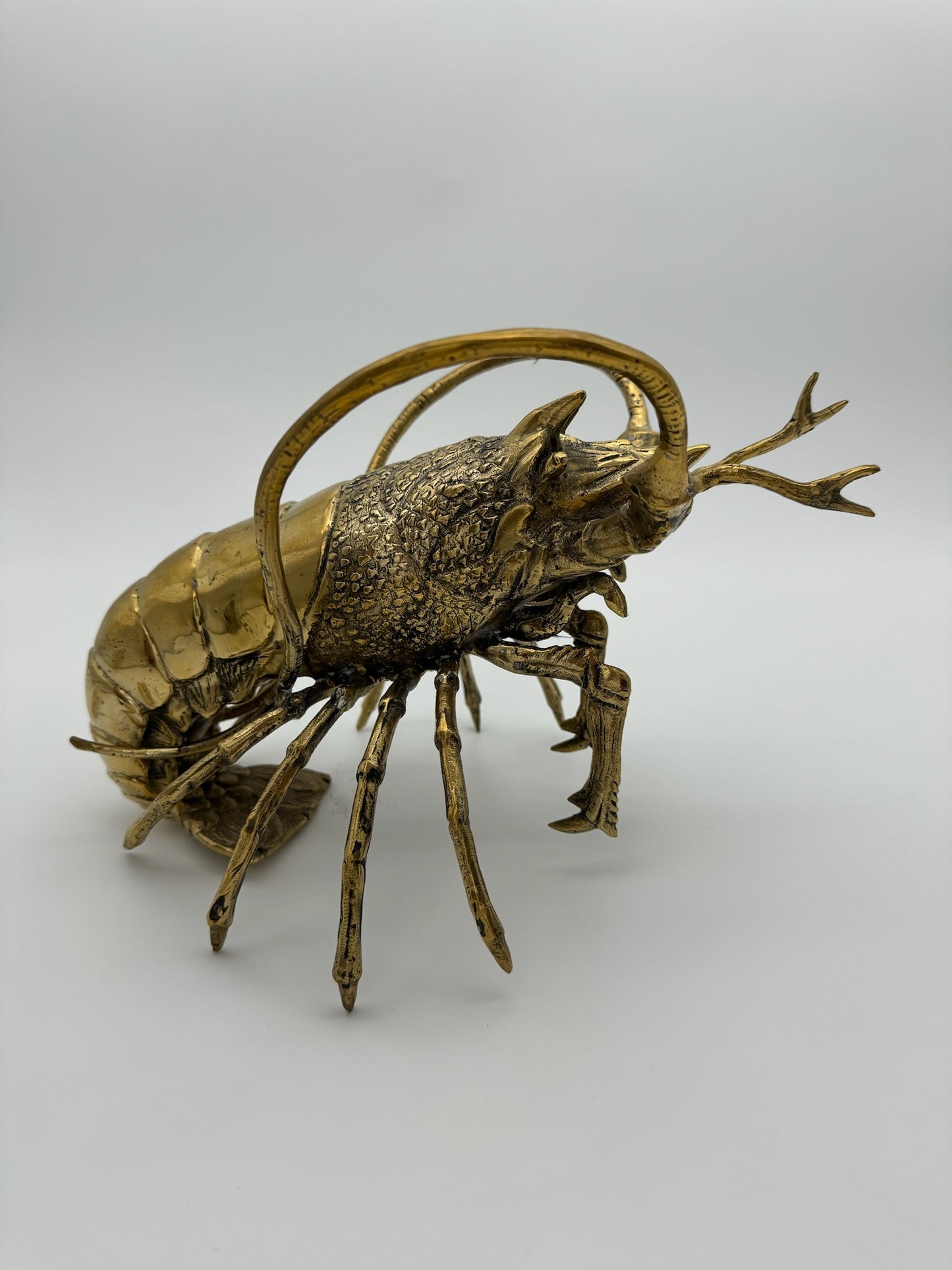 Western Rock Lobster 32cm
