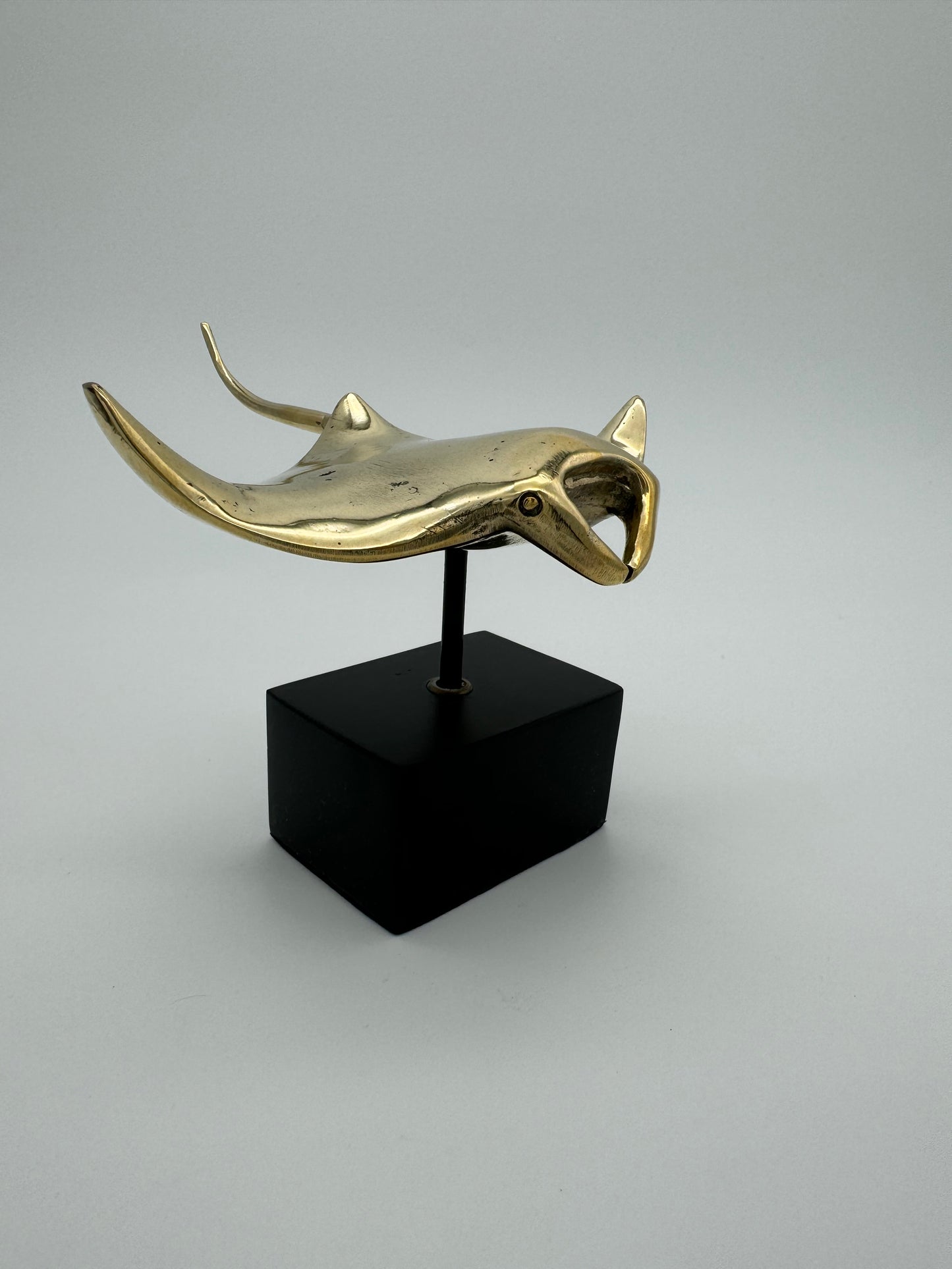 Manta Ray 15cm