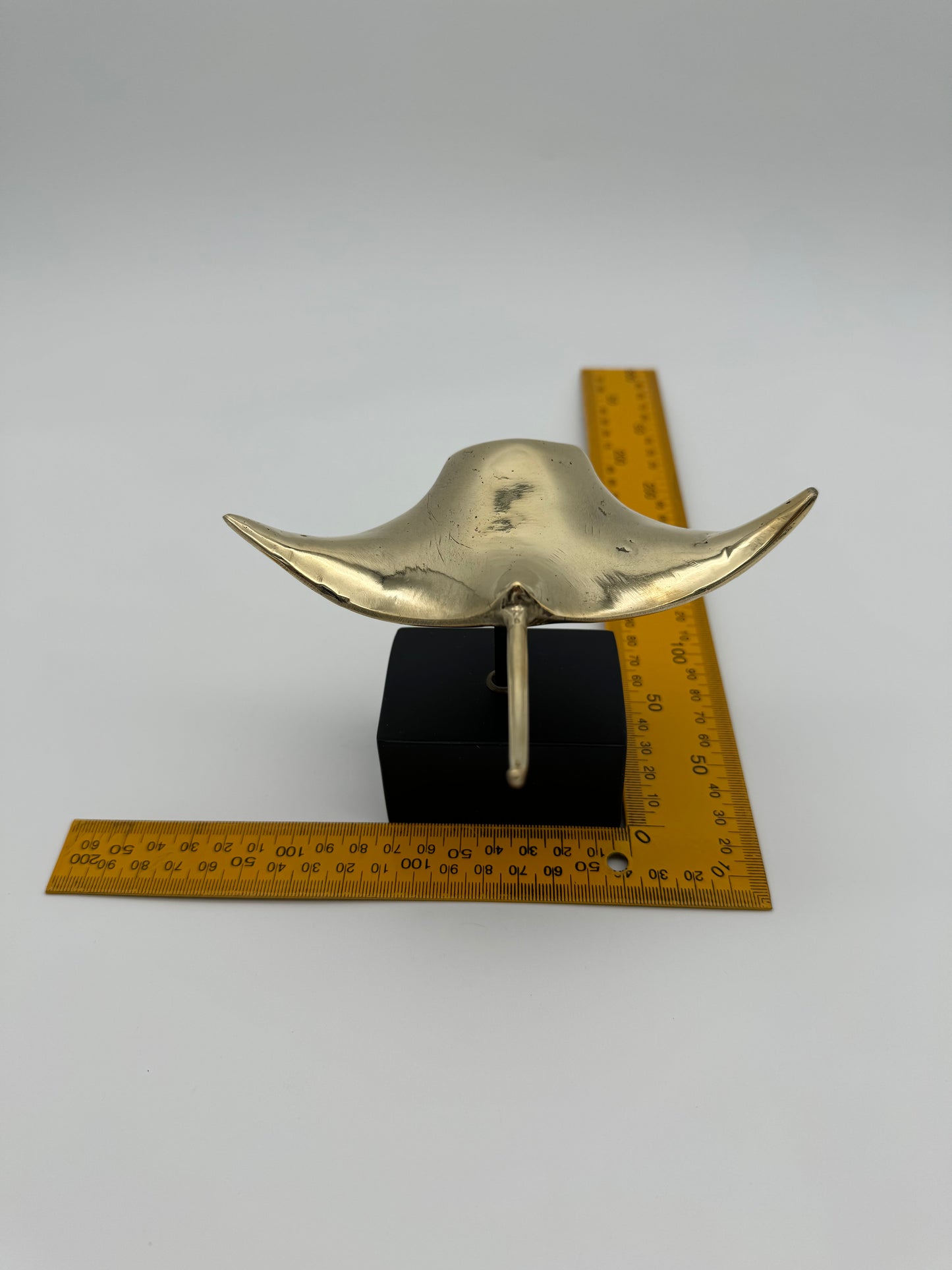 Manta Ray 15cm
