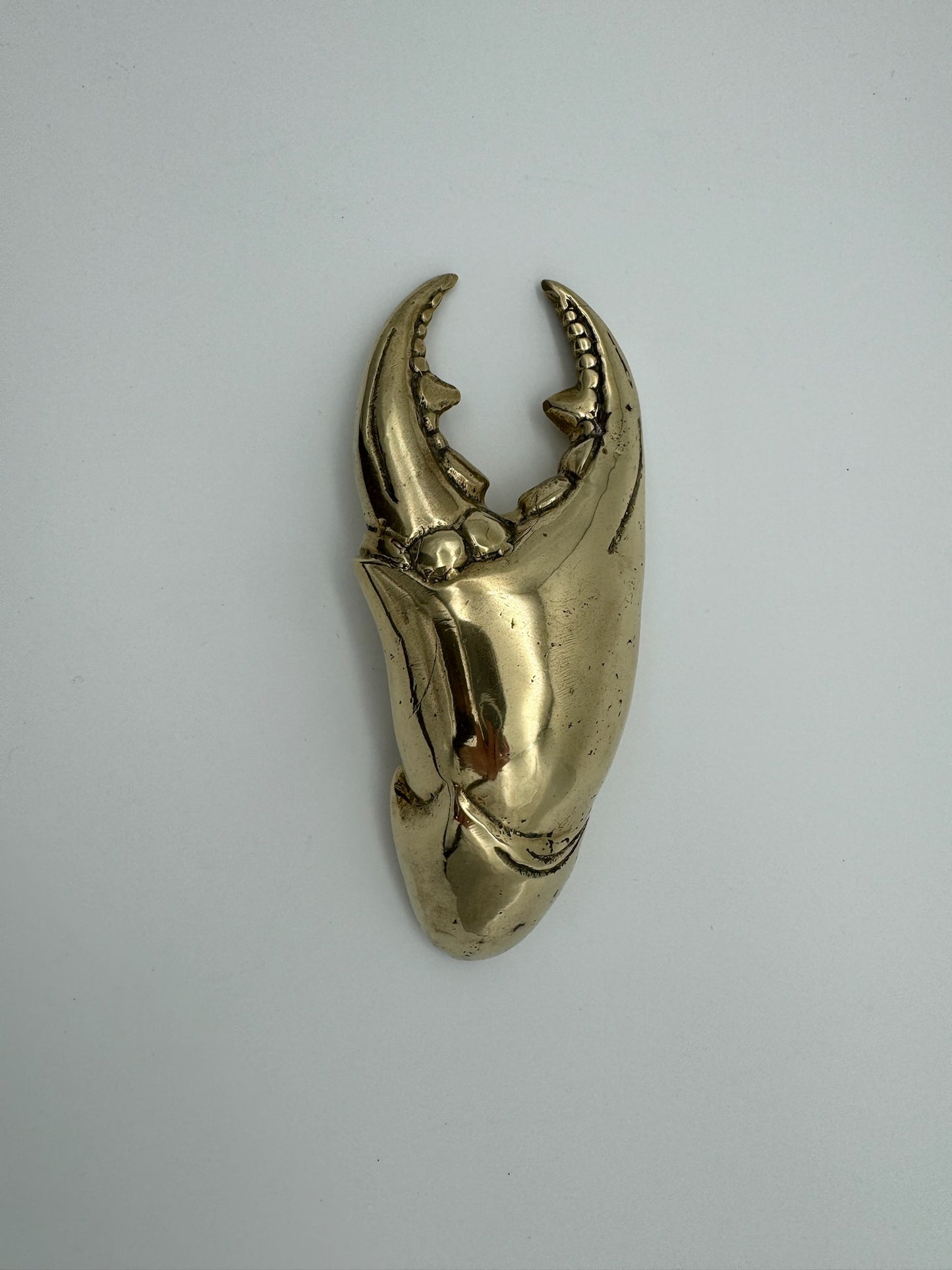 Crab Claw Bottle Opener