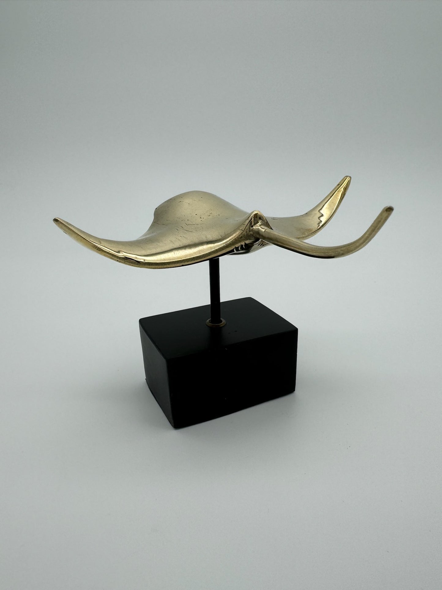Manta Ray 11cm