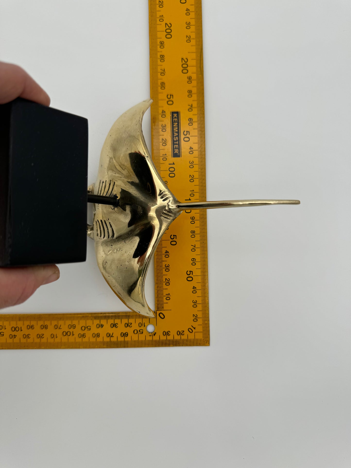 Manta Ray 15cm
