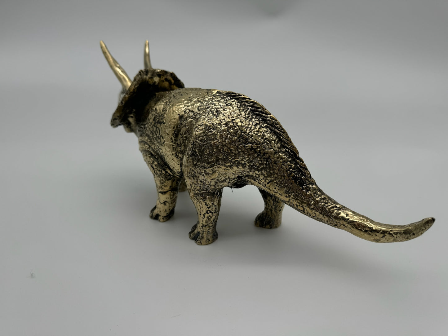 Triceratops horridus 26cm