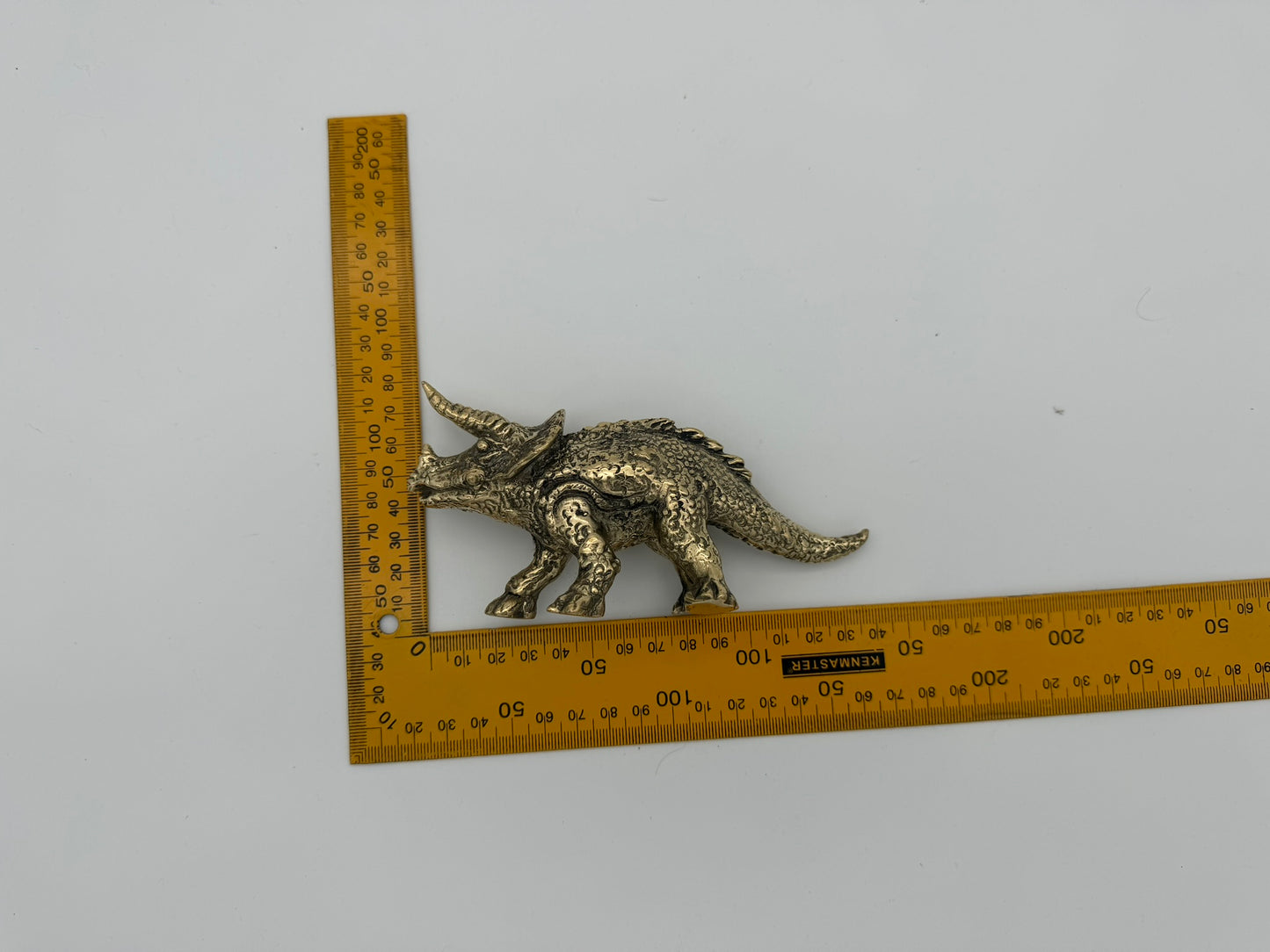 Triceratops horridus 15cm