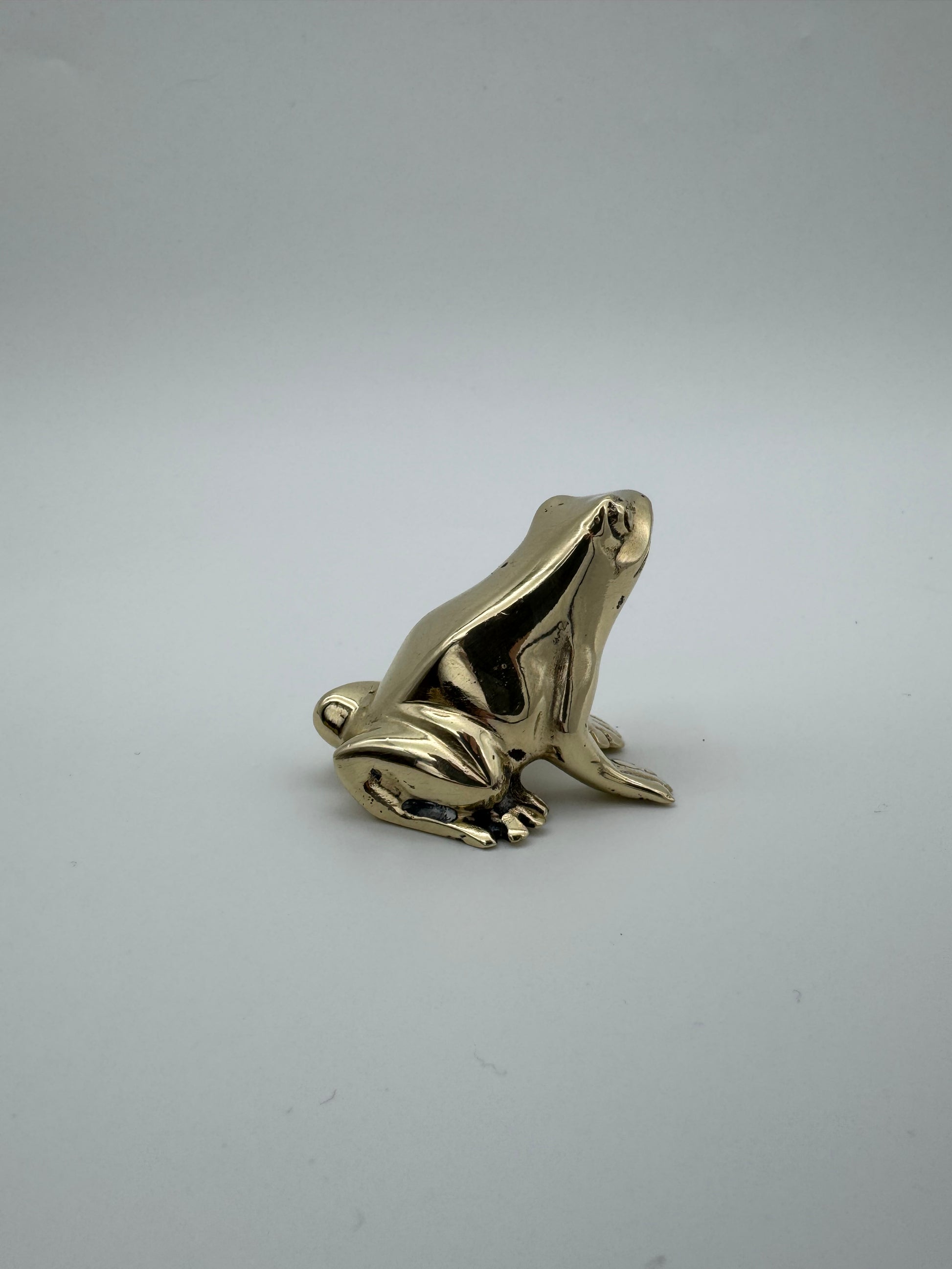 Green Tree Frog 3