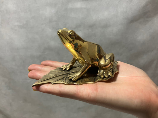Frog on leaf