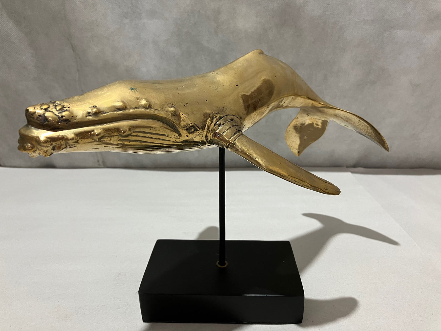 Humpback Whale 30cm