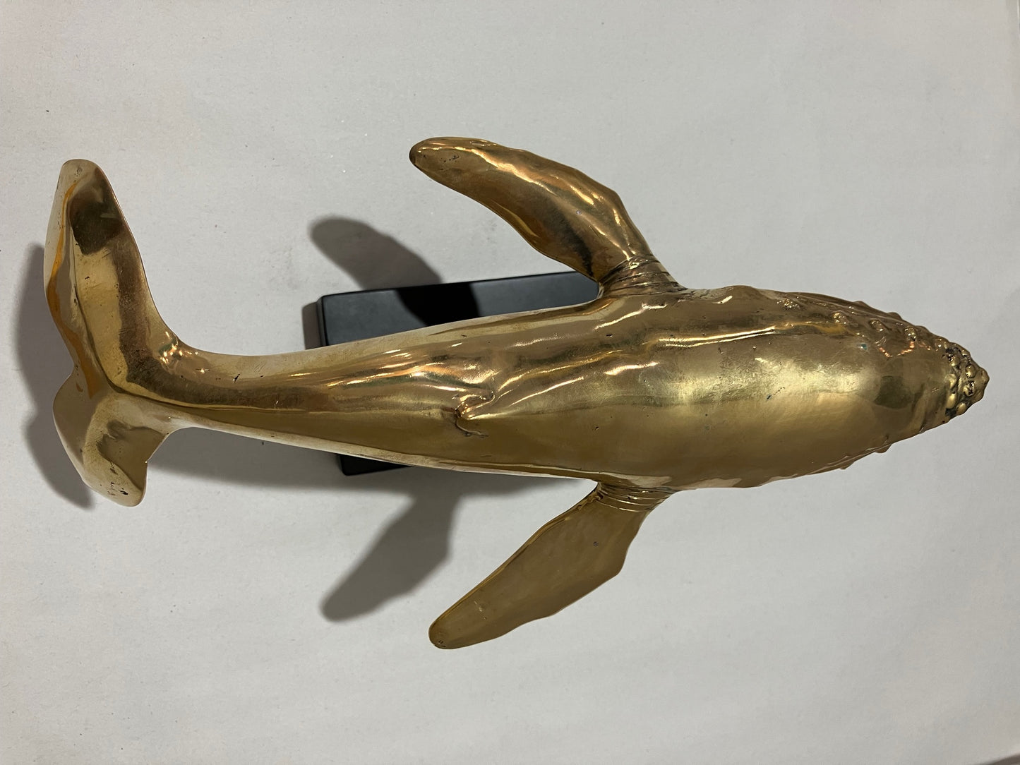 Humpback Whale 30cm