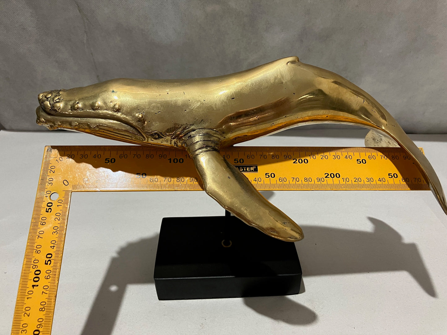 Humpback Whale 30cm