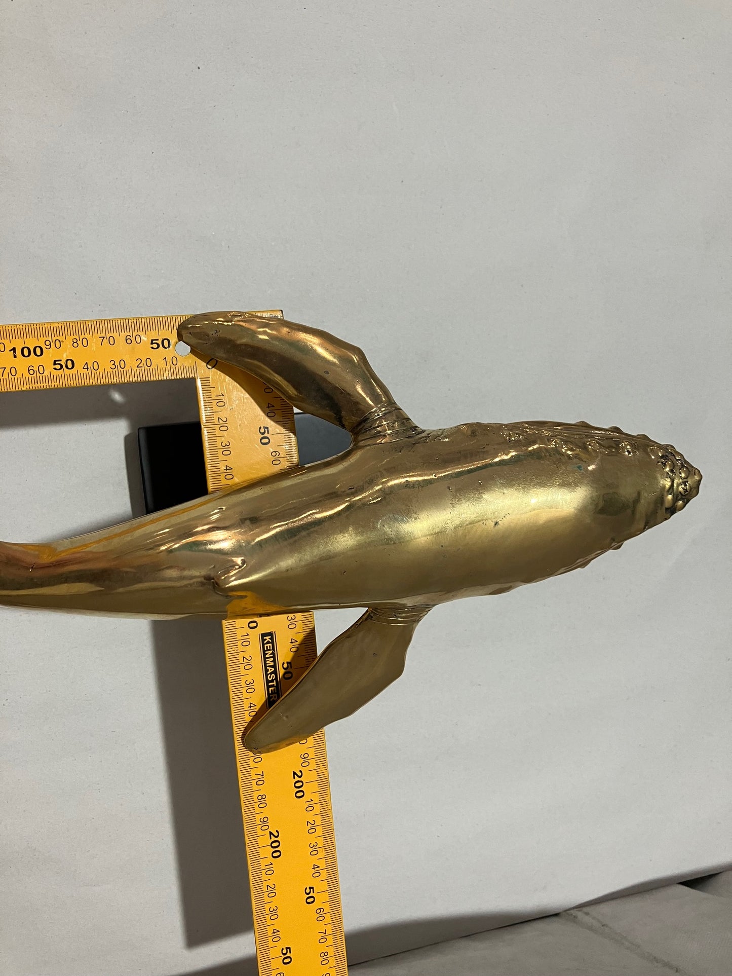 Humpback Whale 30cm