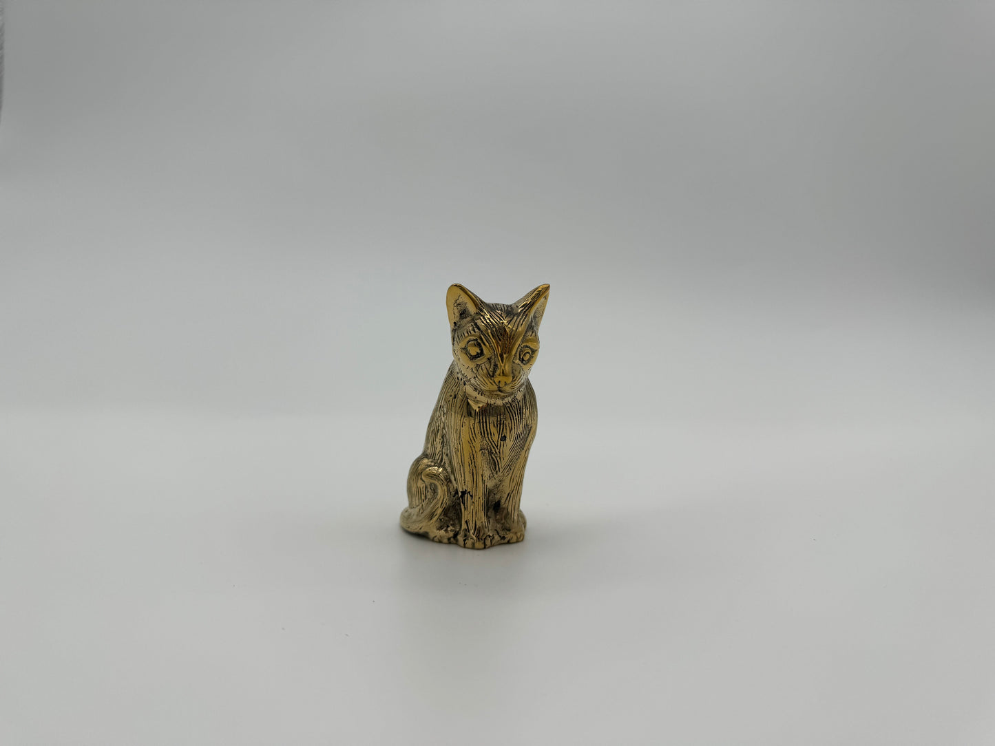 Cat 9cm