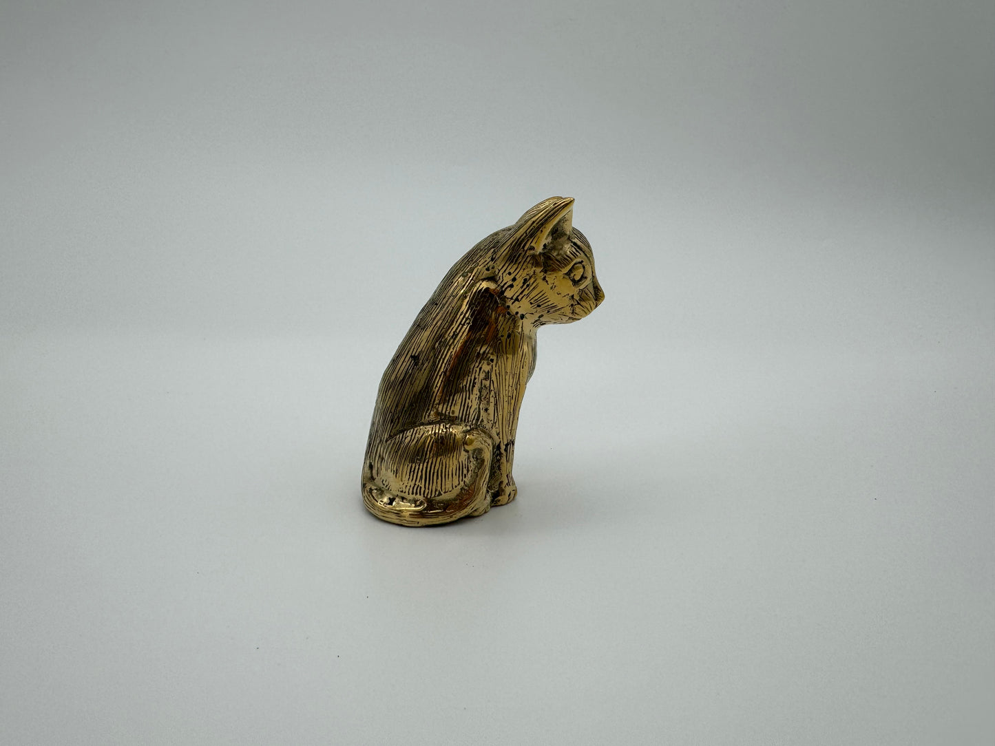 Cat 9cm