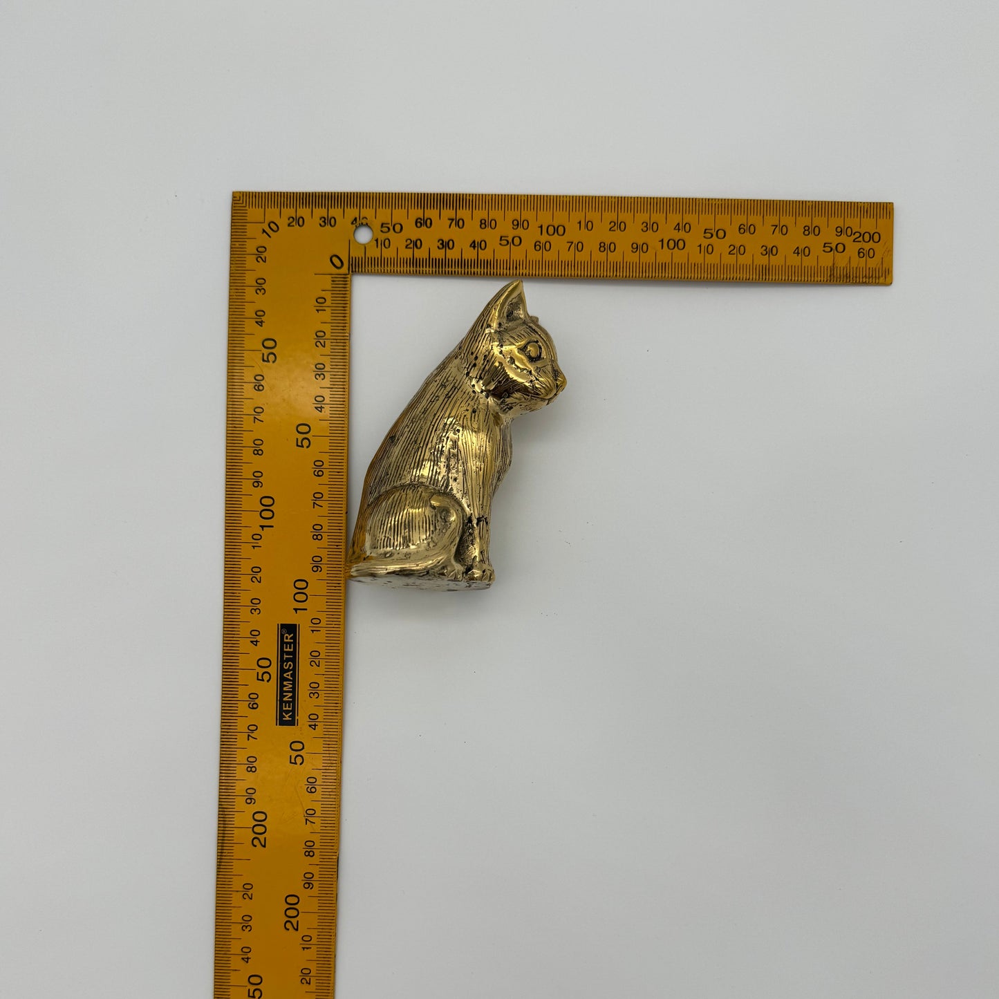 Cat 9cm