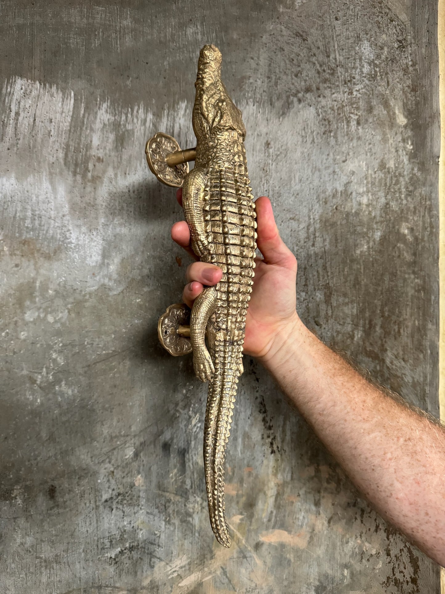 Crocodile, Alligator Door Handle, 40cm