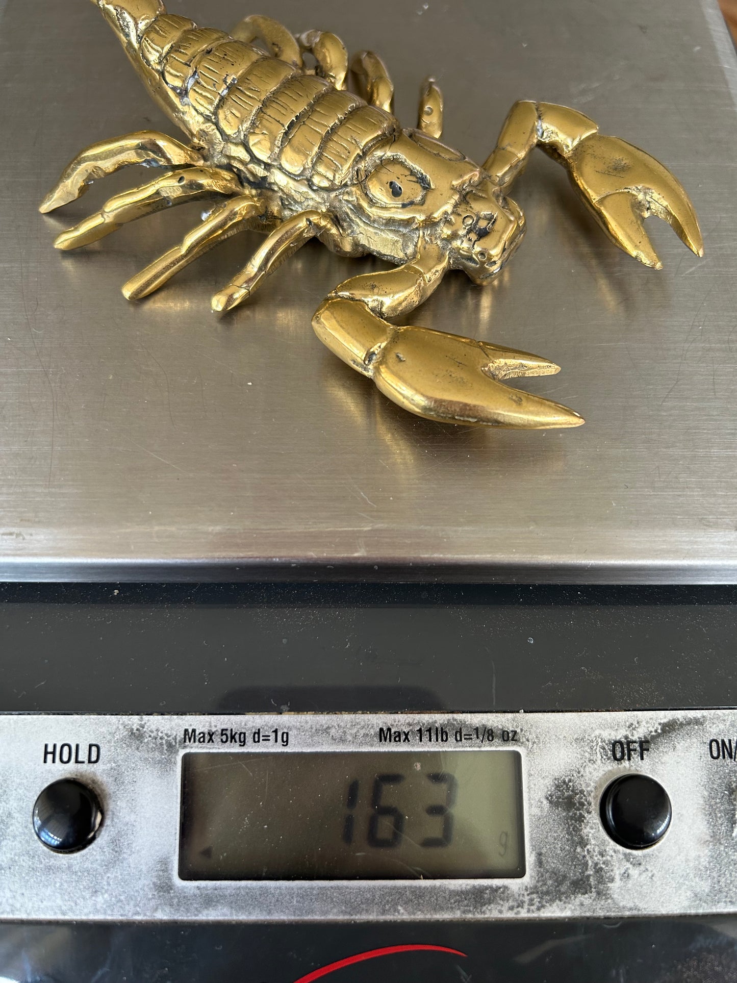 Scorpion 14cm